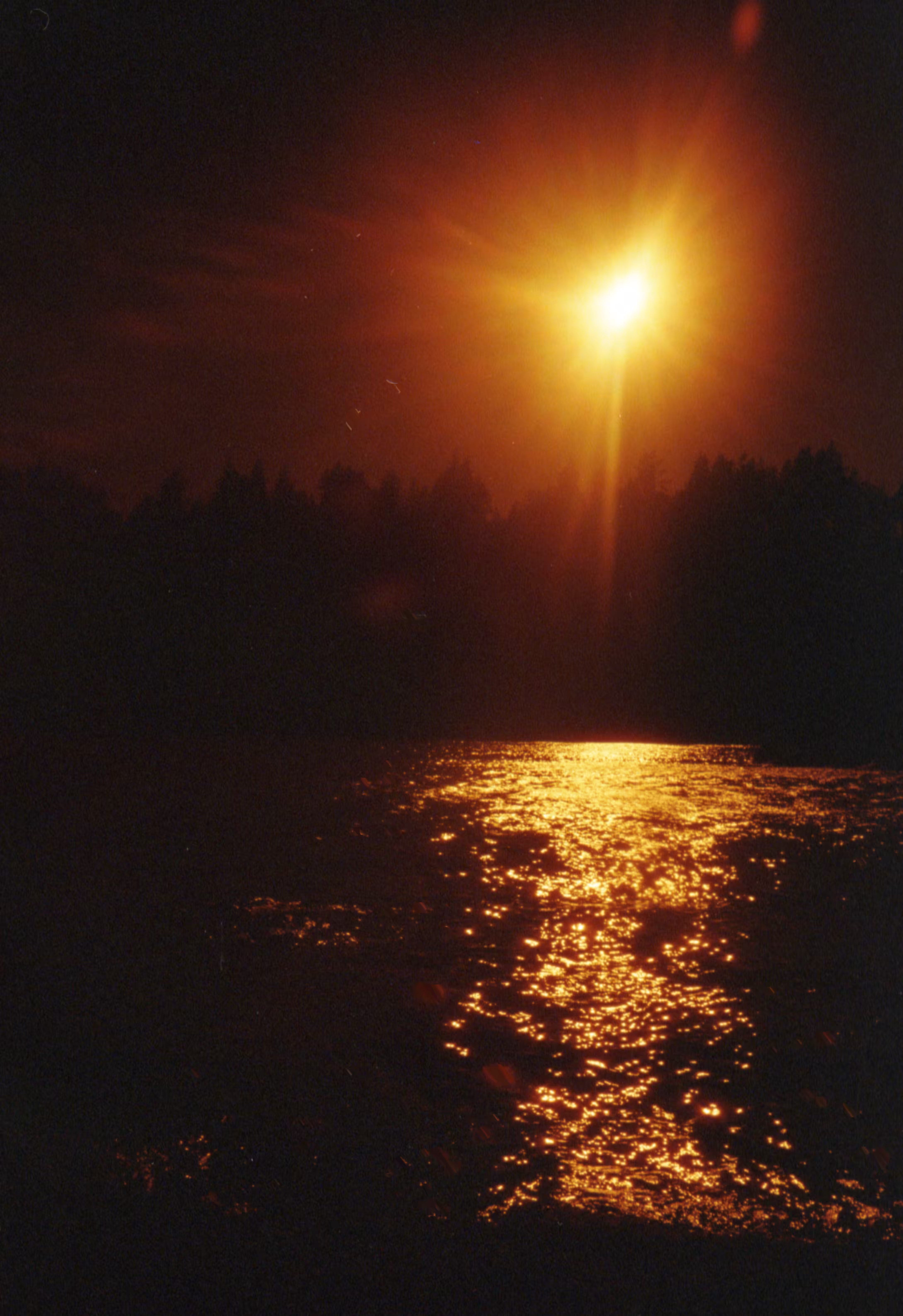 "THe LuST GReW aS We DiMMeD THe LiGHTS.."