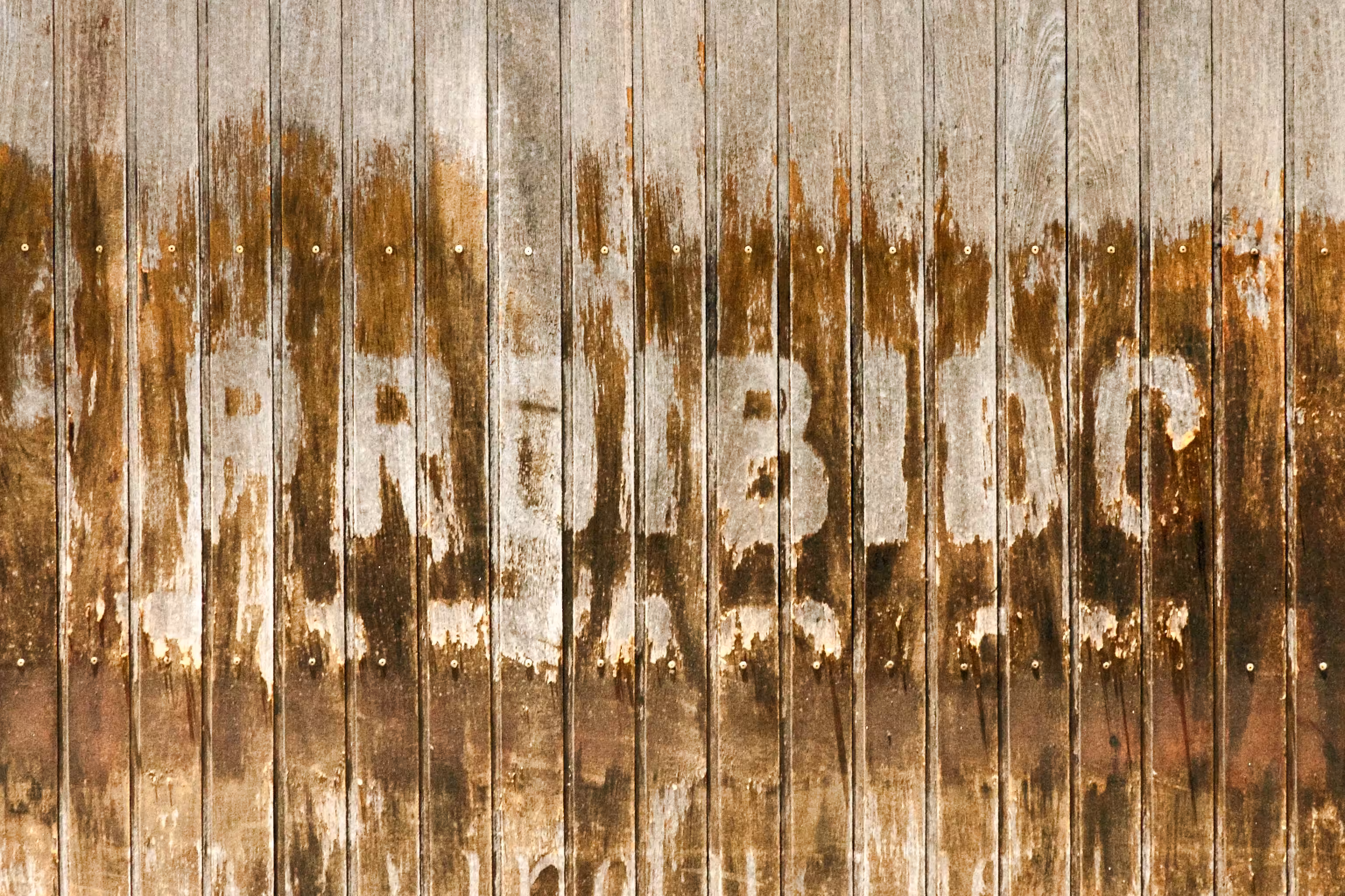 Proibido (No. 2)