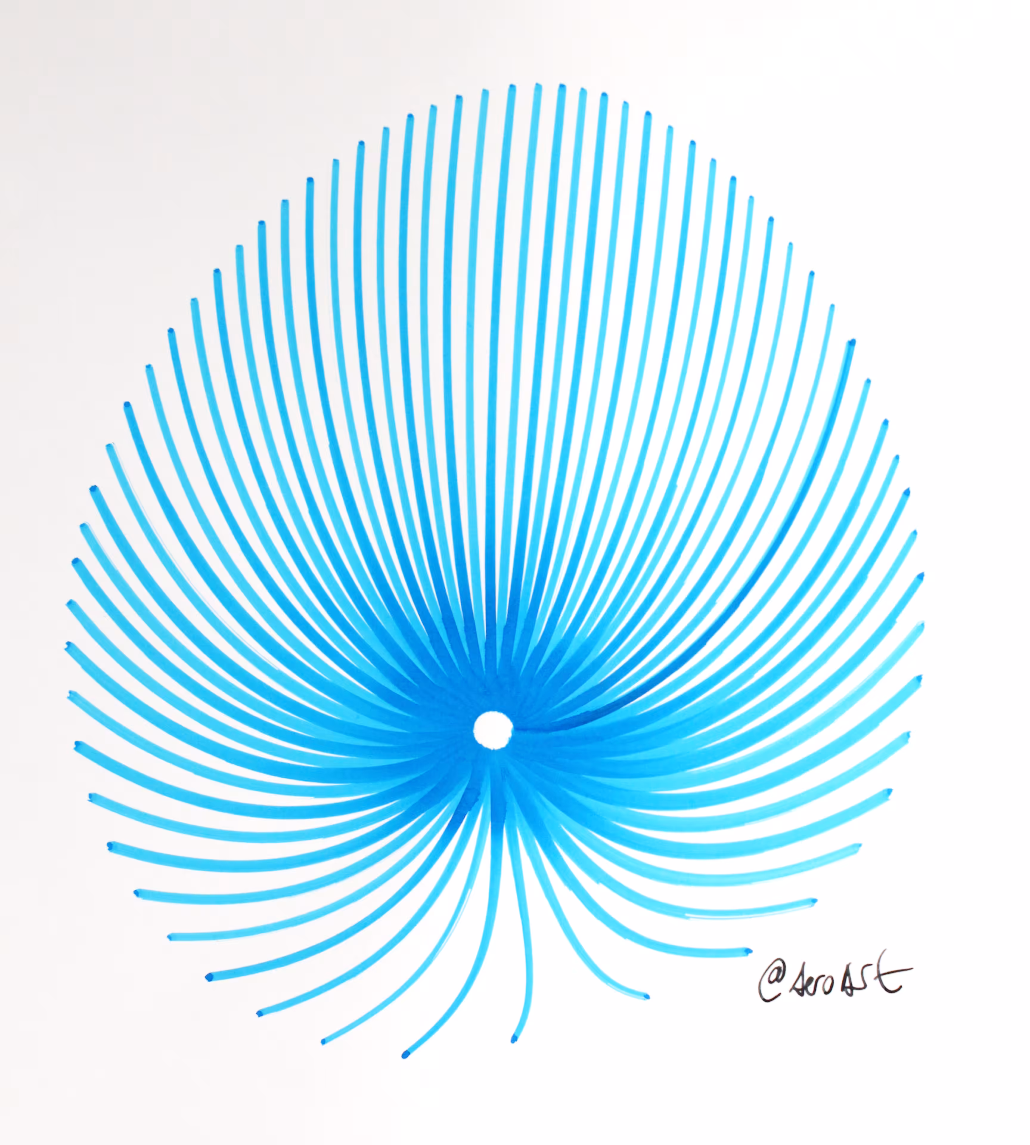 Sea Lily