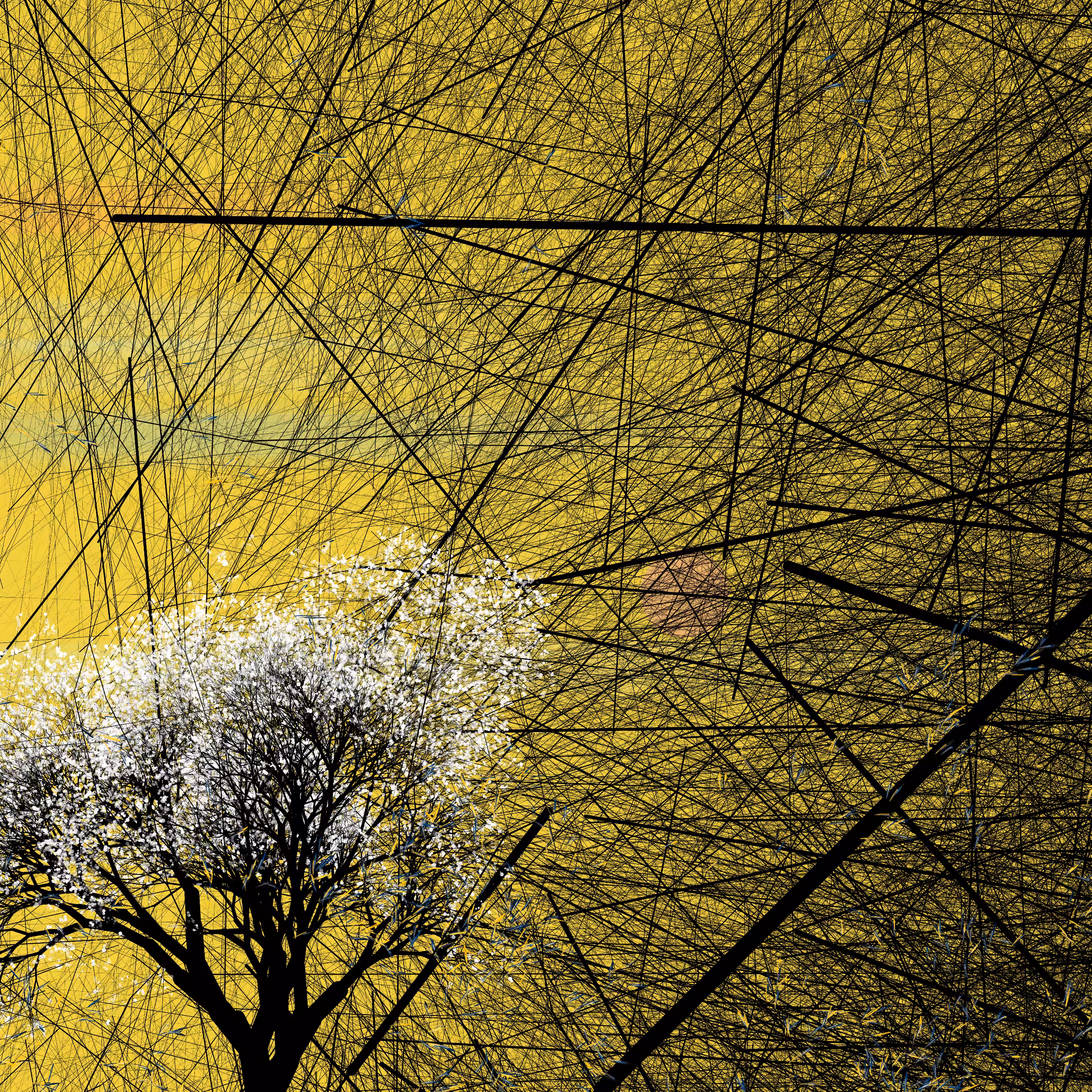 conversation with the wind #747