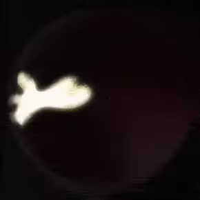 T#8