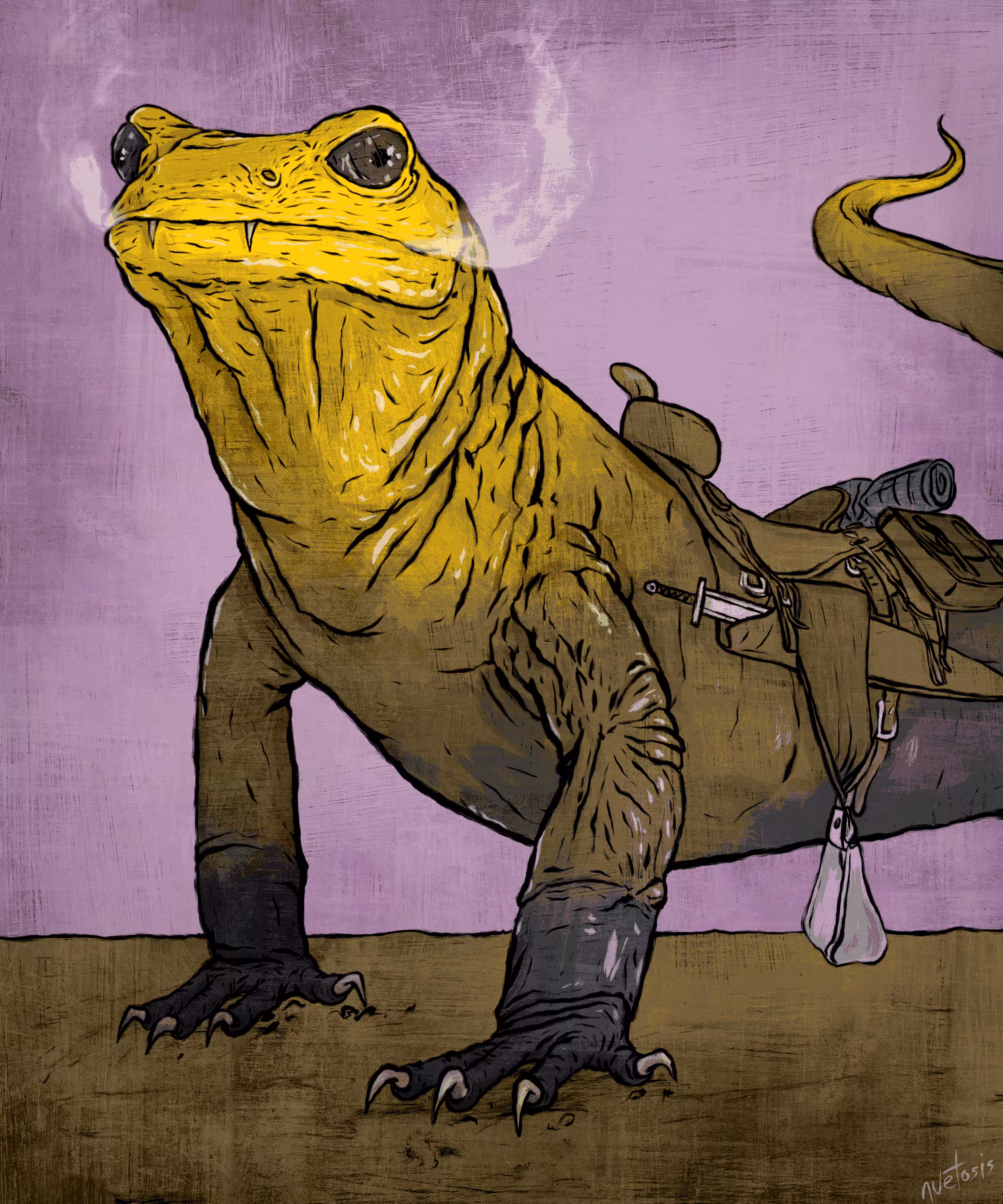 Fire Salamander 5