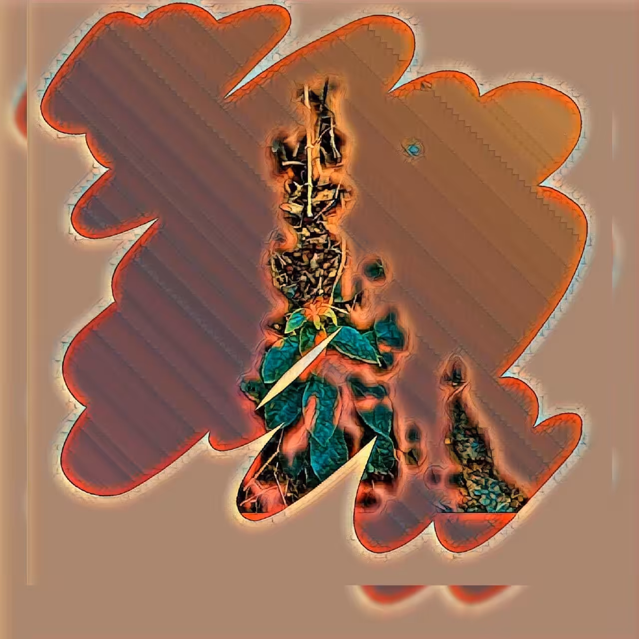 Stigma