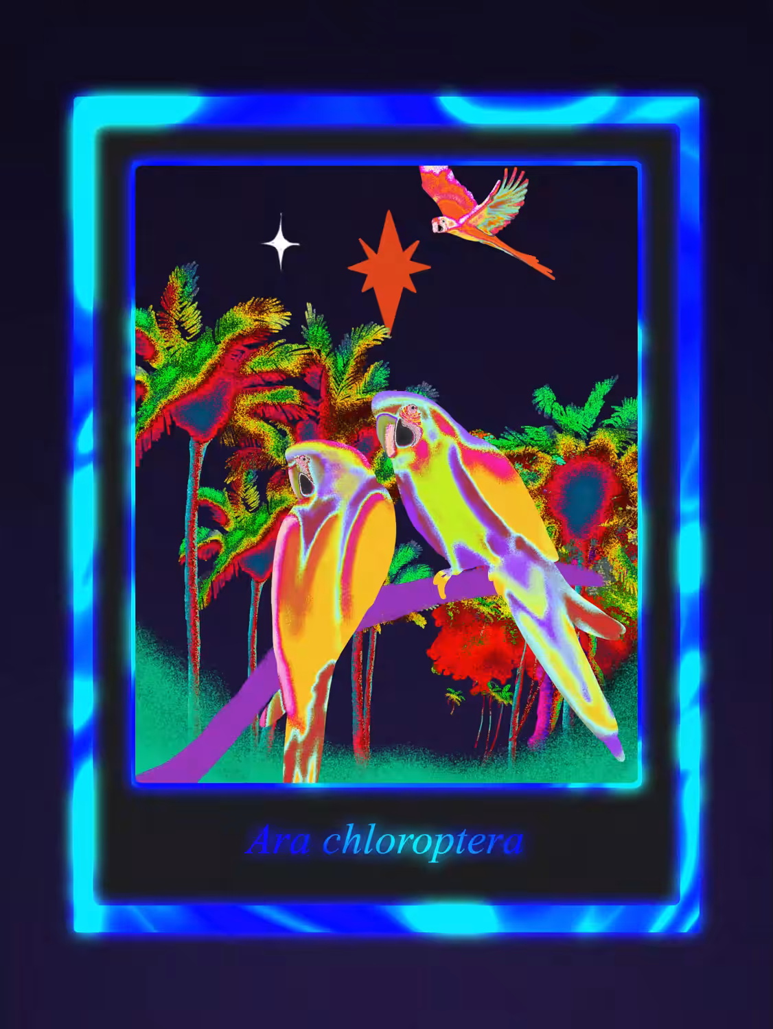 Arara