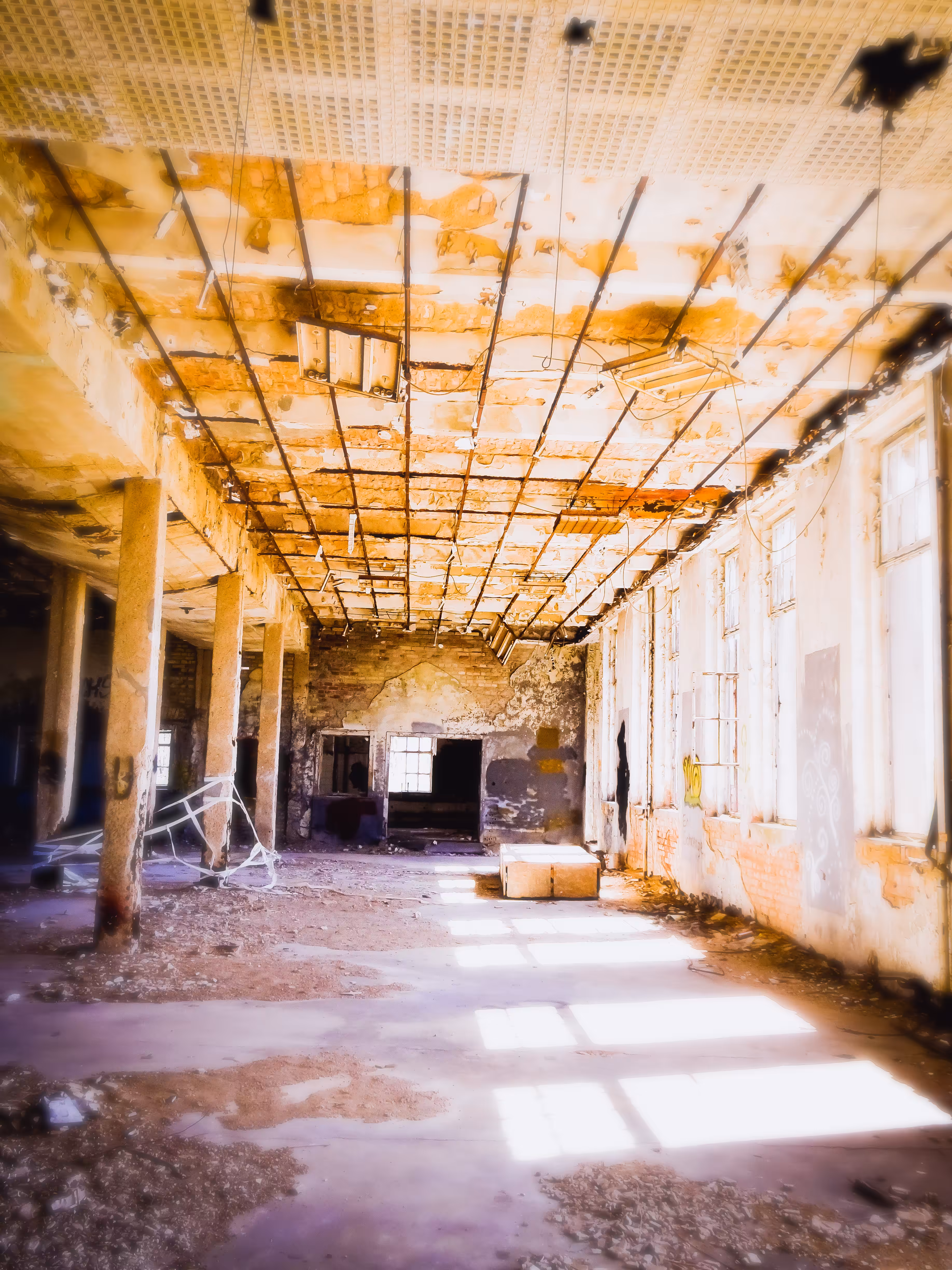 The Room of Light