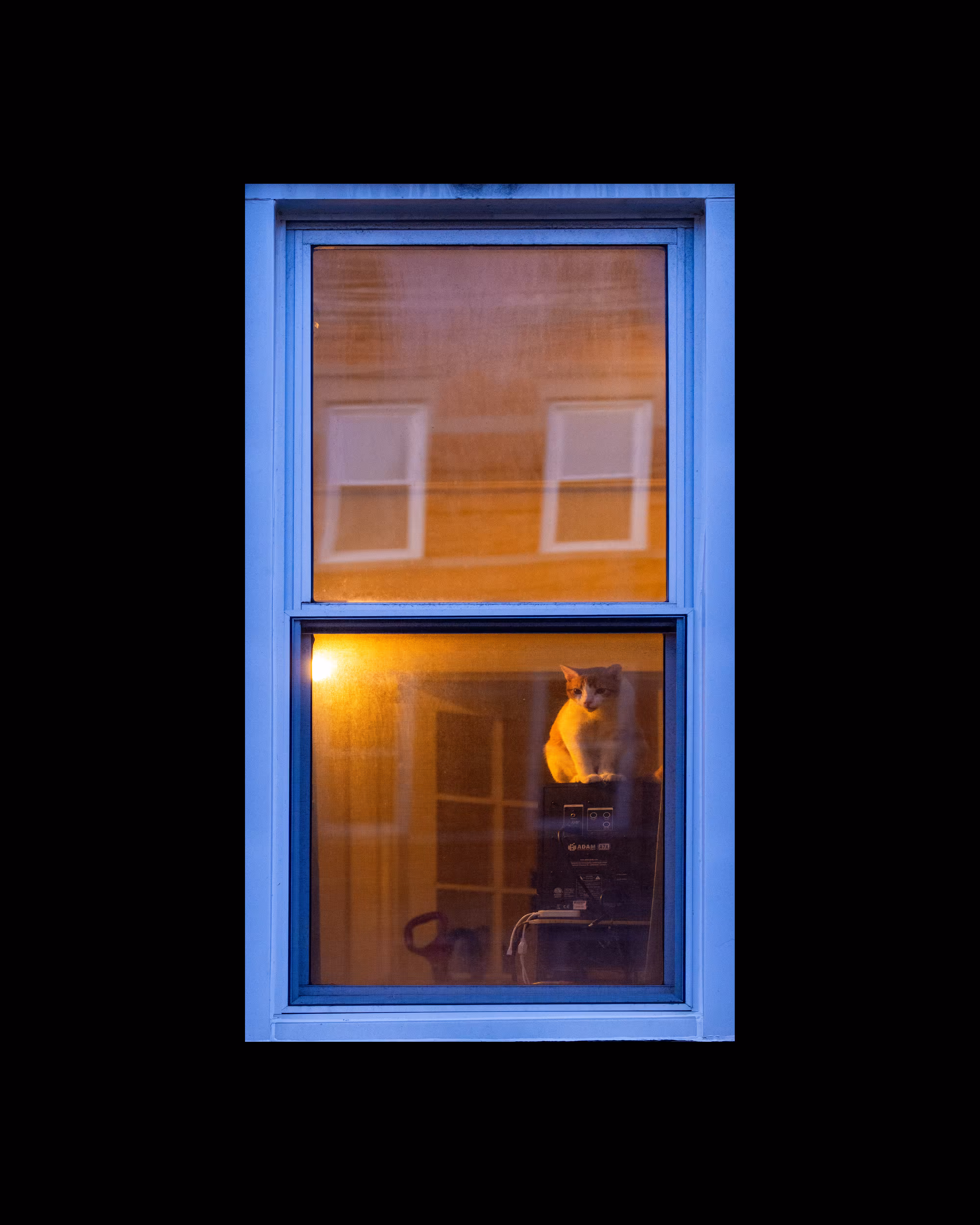 WINDOWS // NYC: WINDOW 532