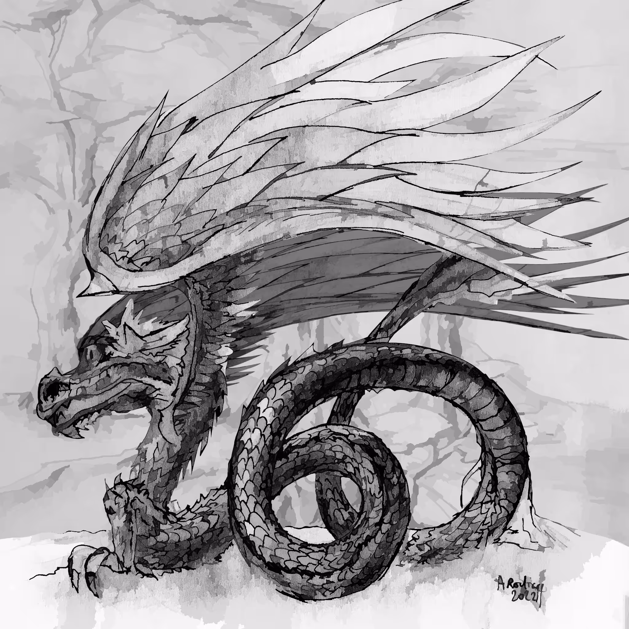 Dragon 26,6