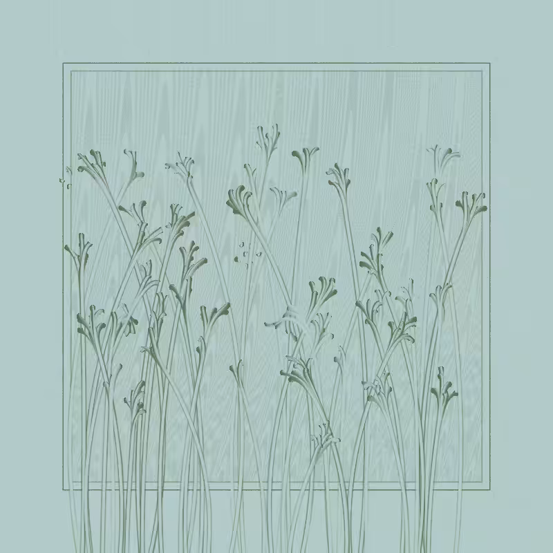 string_pllu #117