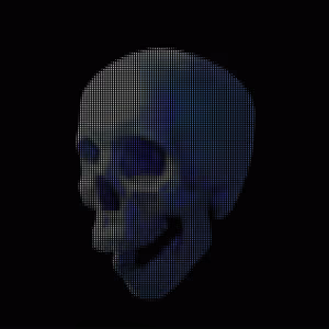 404SKULLS - 032