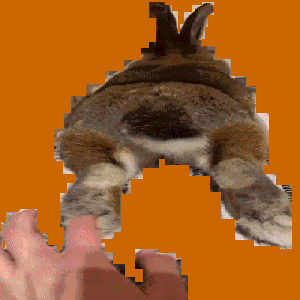 BunBun