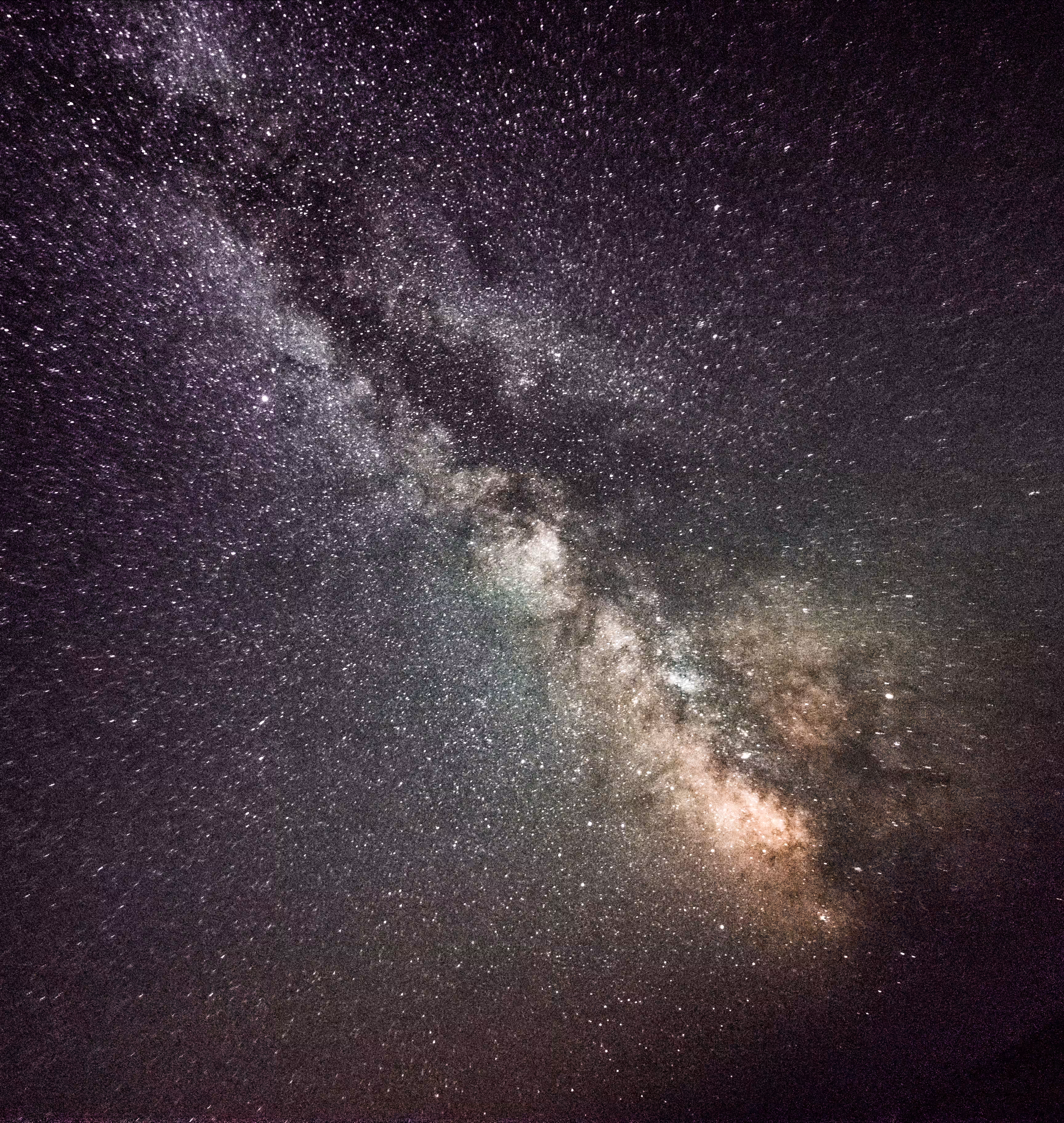 THE COSMOS