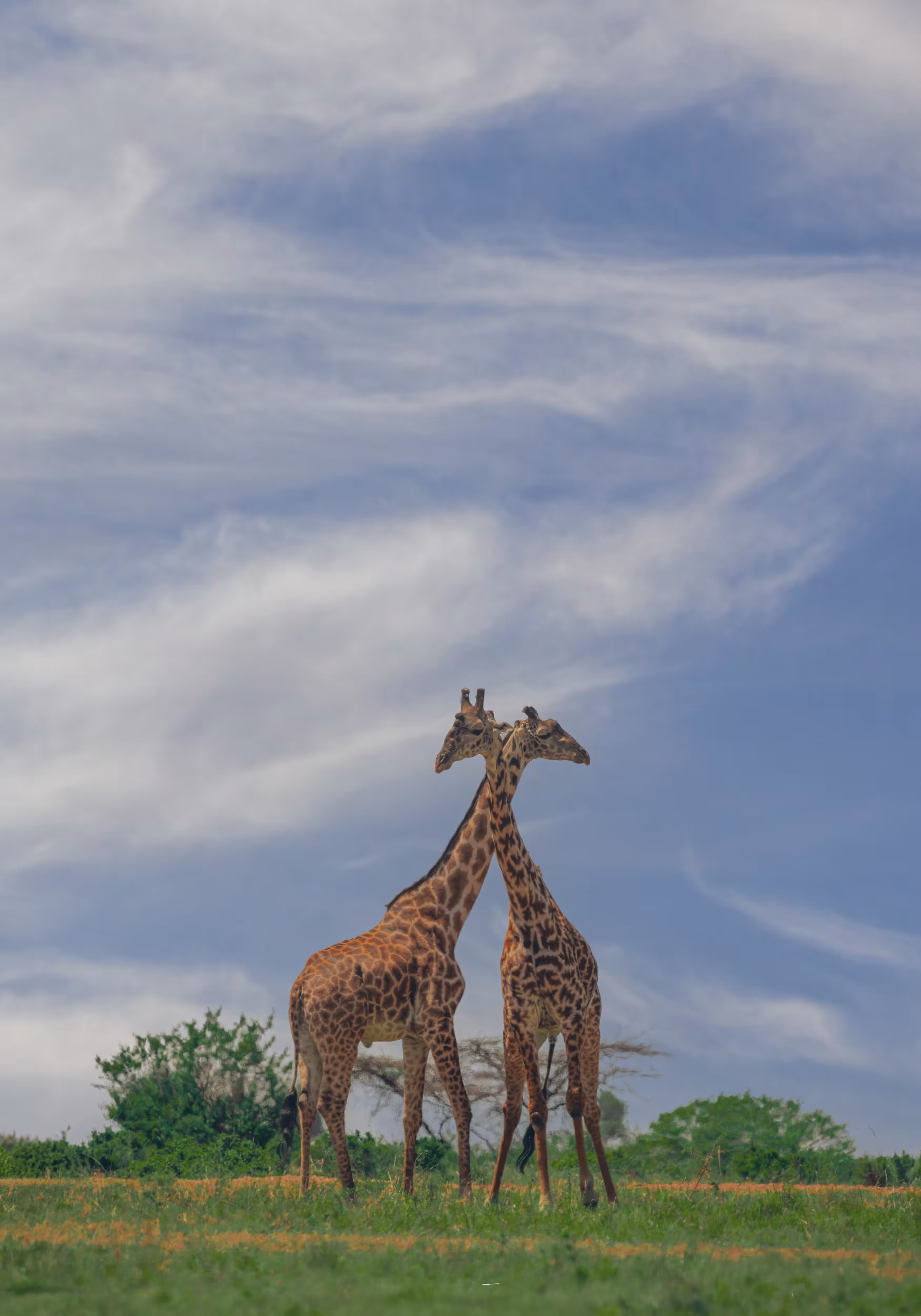 Towering Spirit