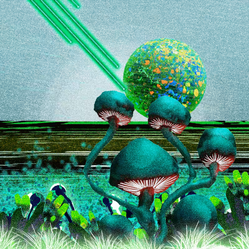 Onablo's Herbs #56