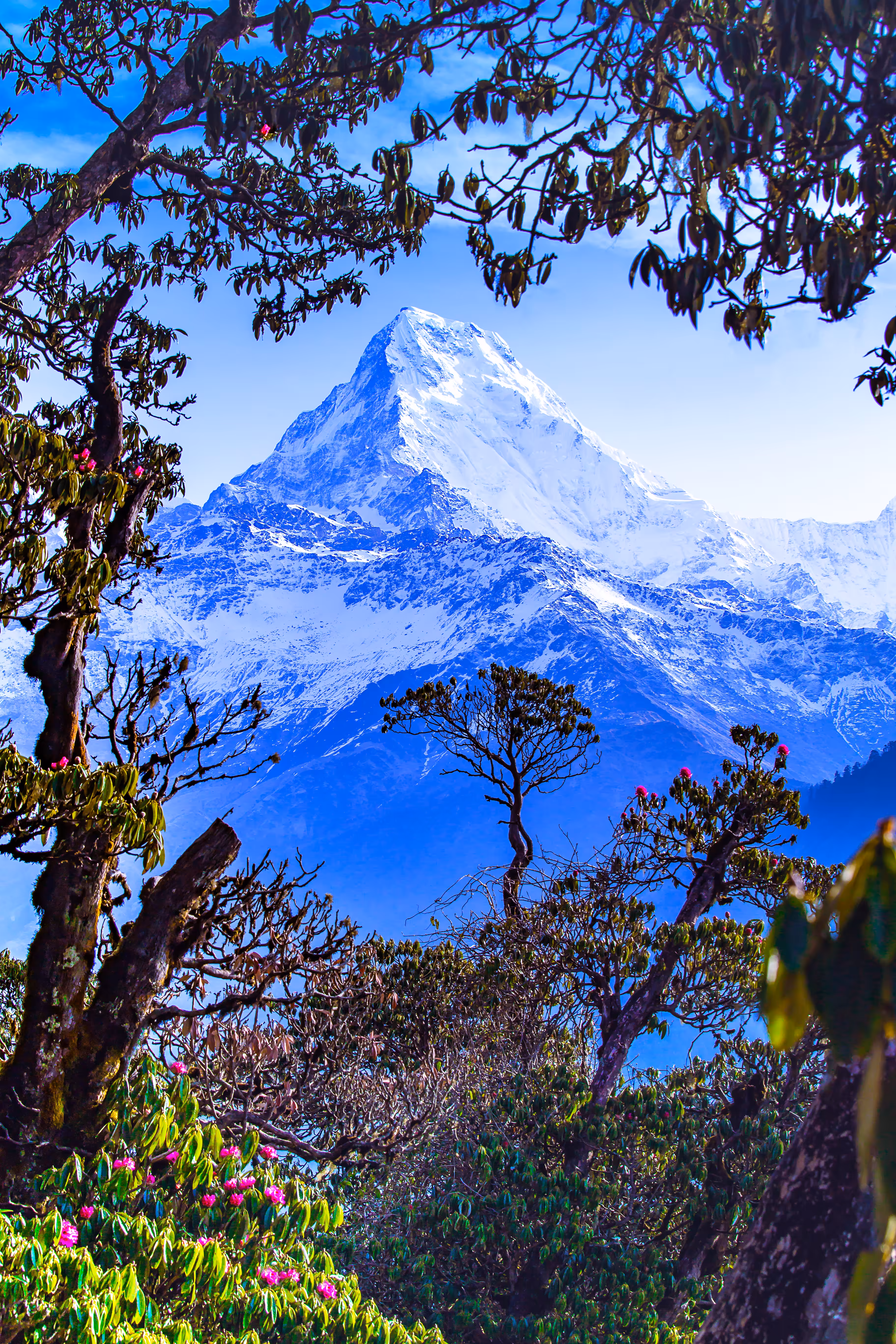 The mountain #1