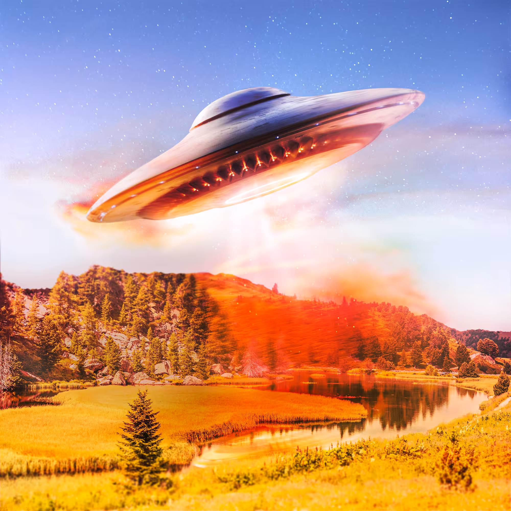THE DISCOVERY