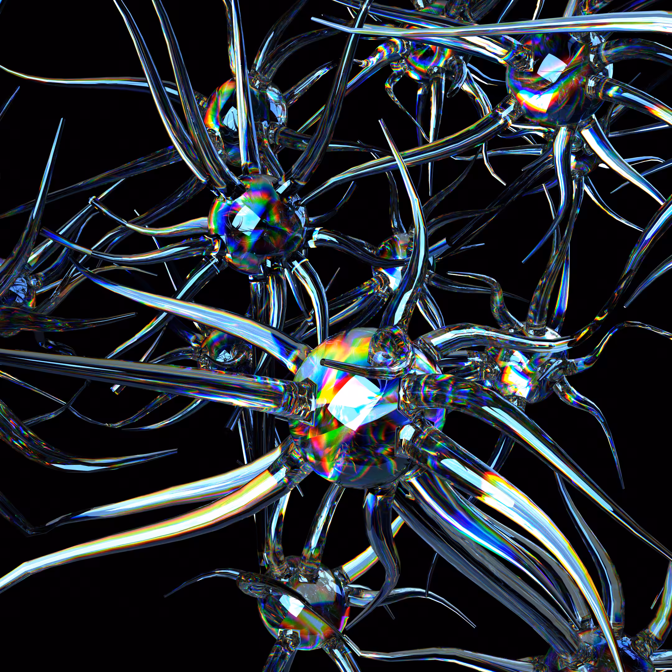 Neurons 