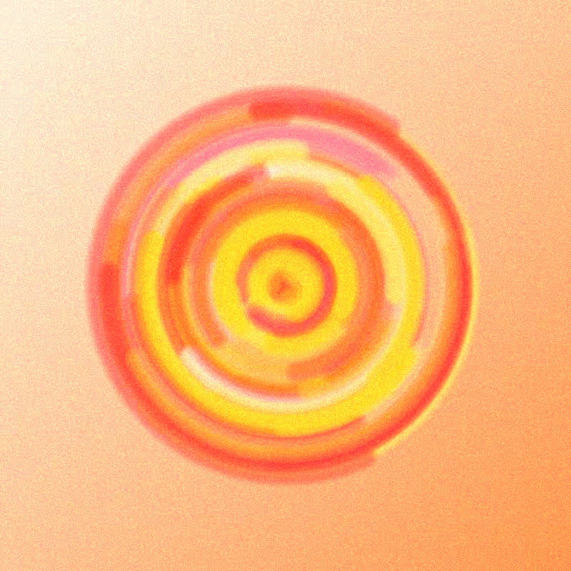 Wisp #755