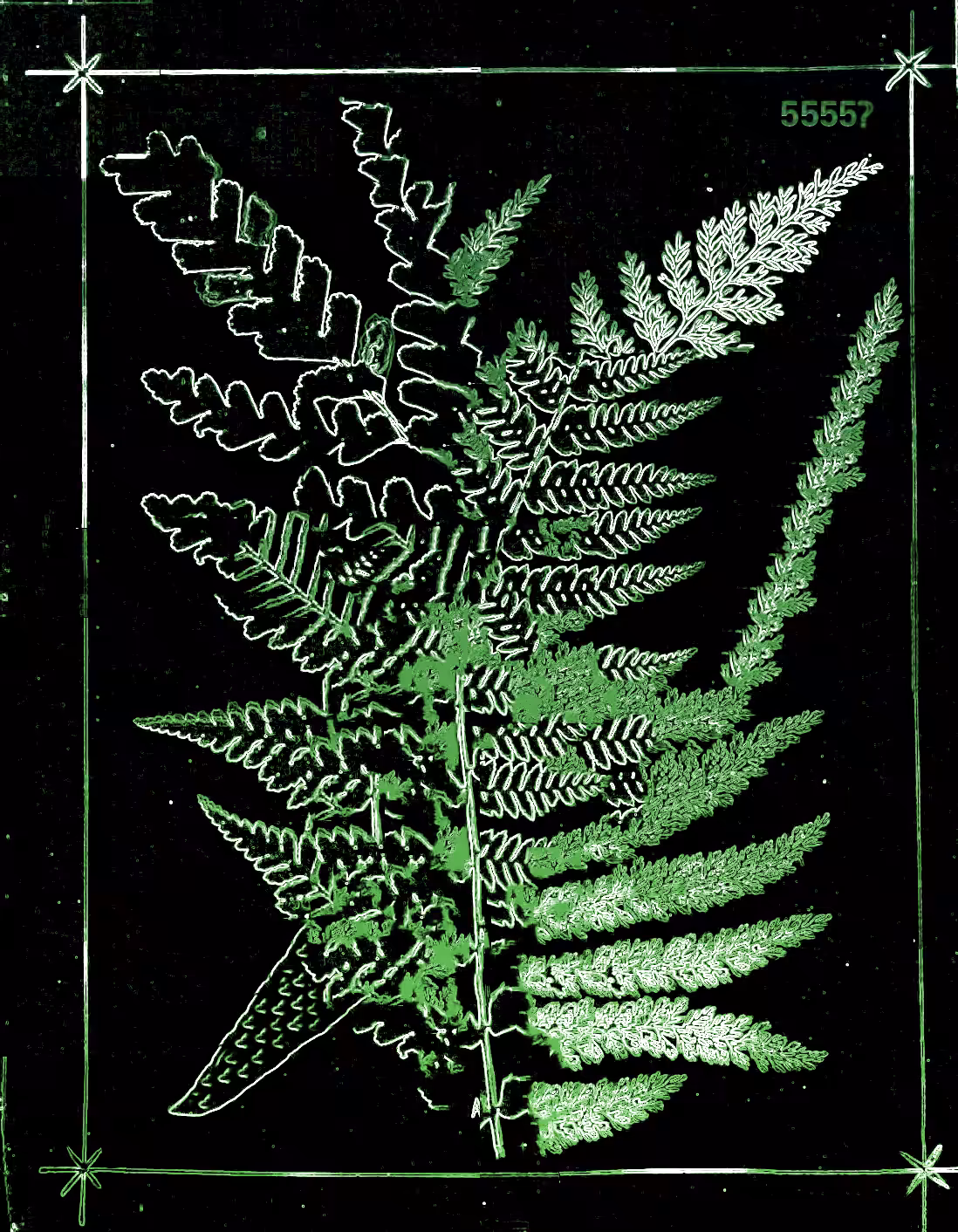 Metafern [z]
