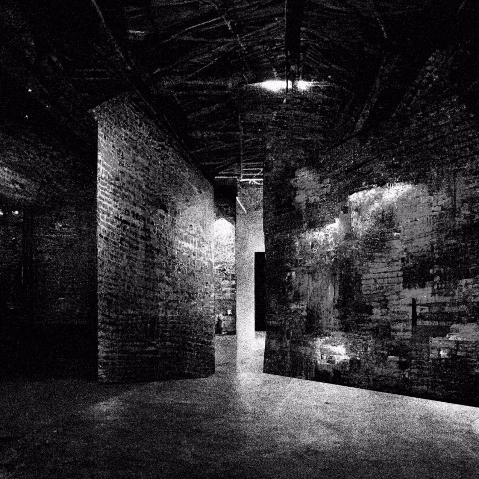 Liminal Newberry #185