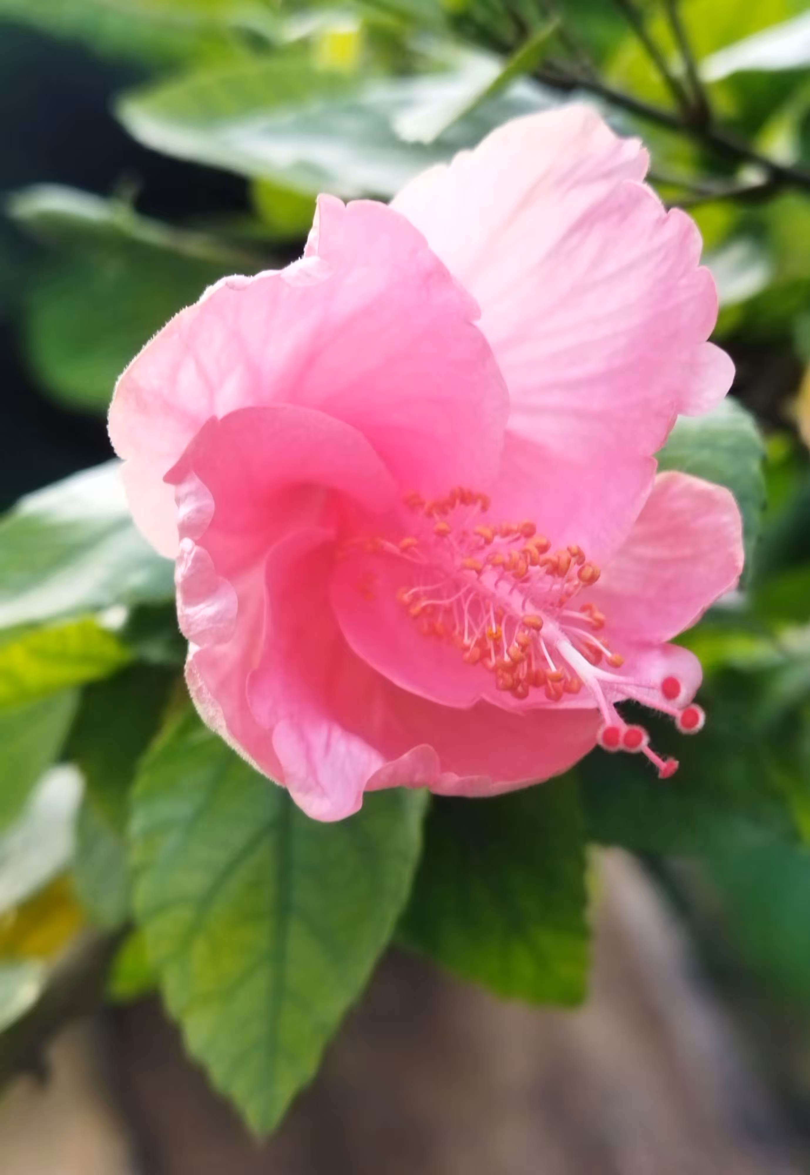 An Unfurling 