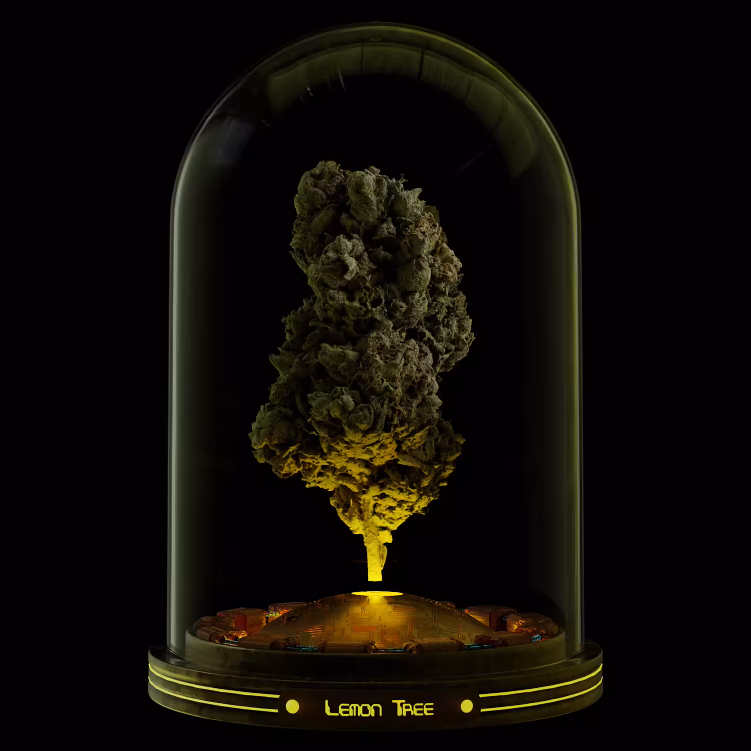 Lemon Tree