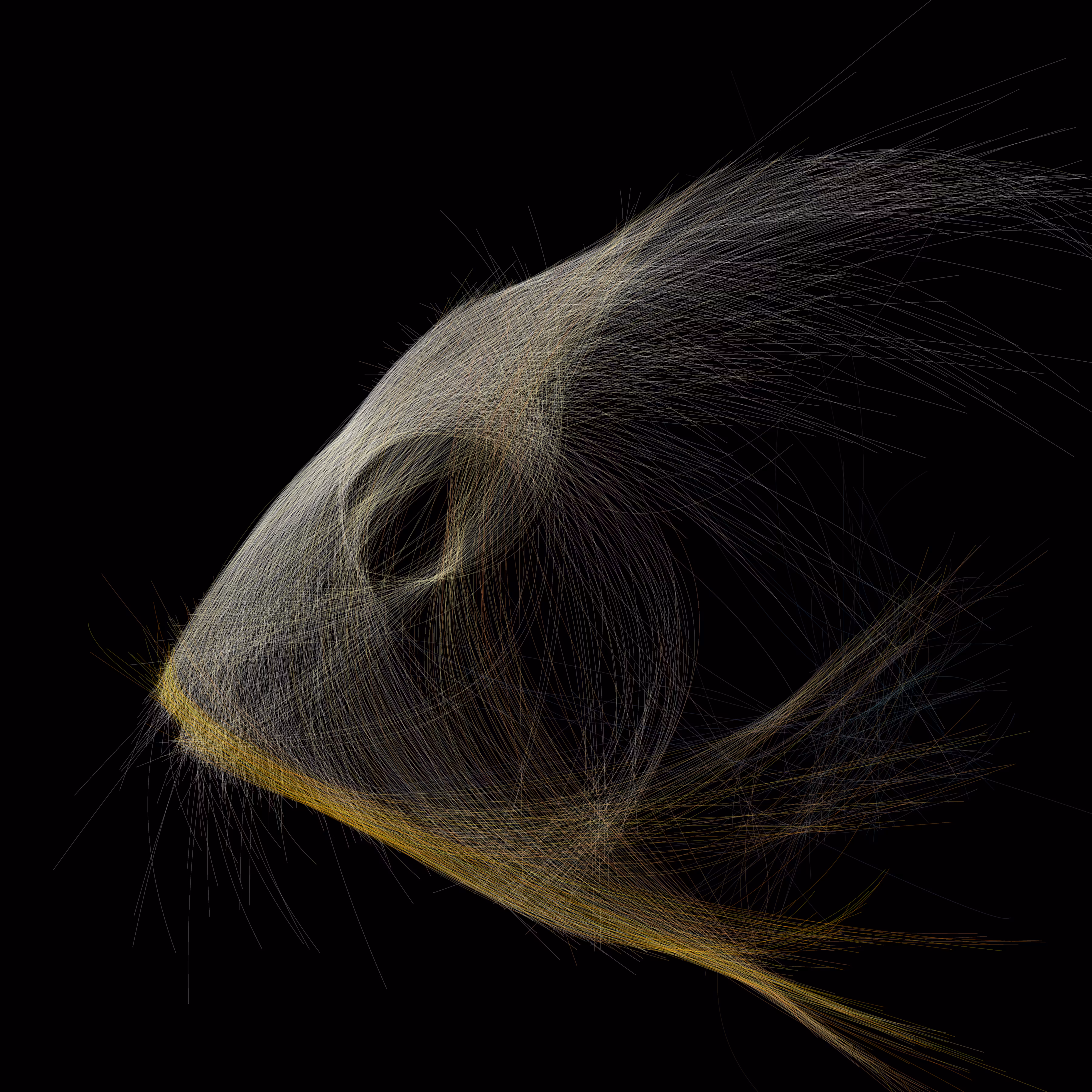 UNDERWATER: Underwater 25