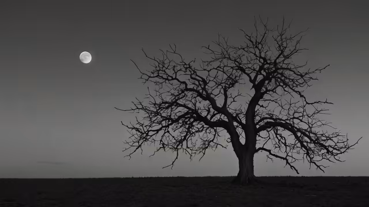 Lone Tree Under Moonlight