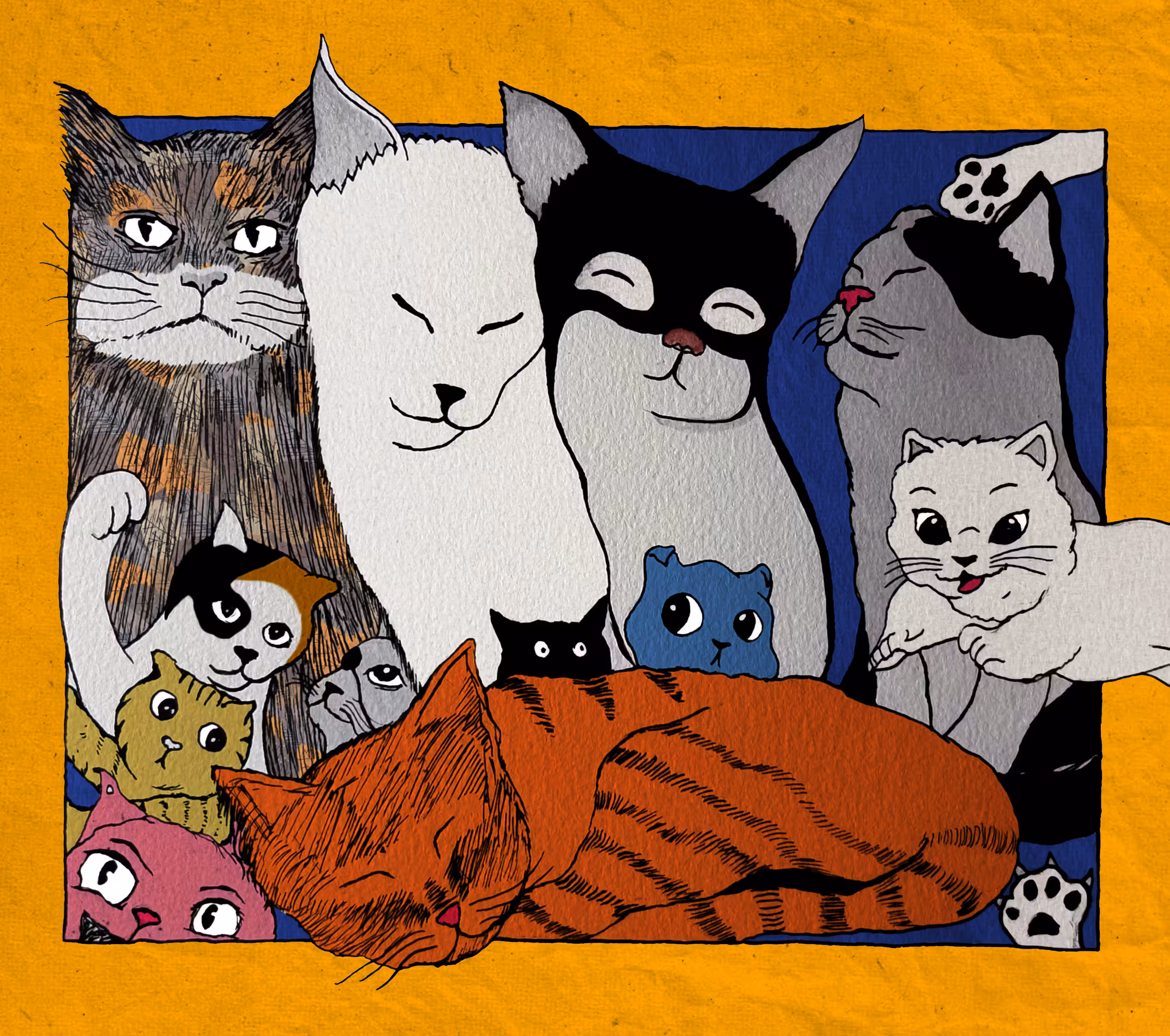 Kitty Bunch