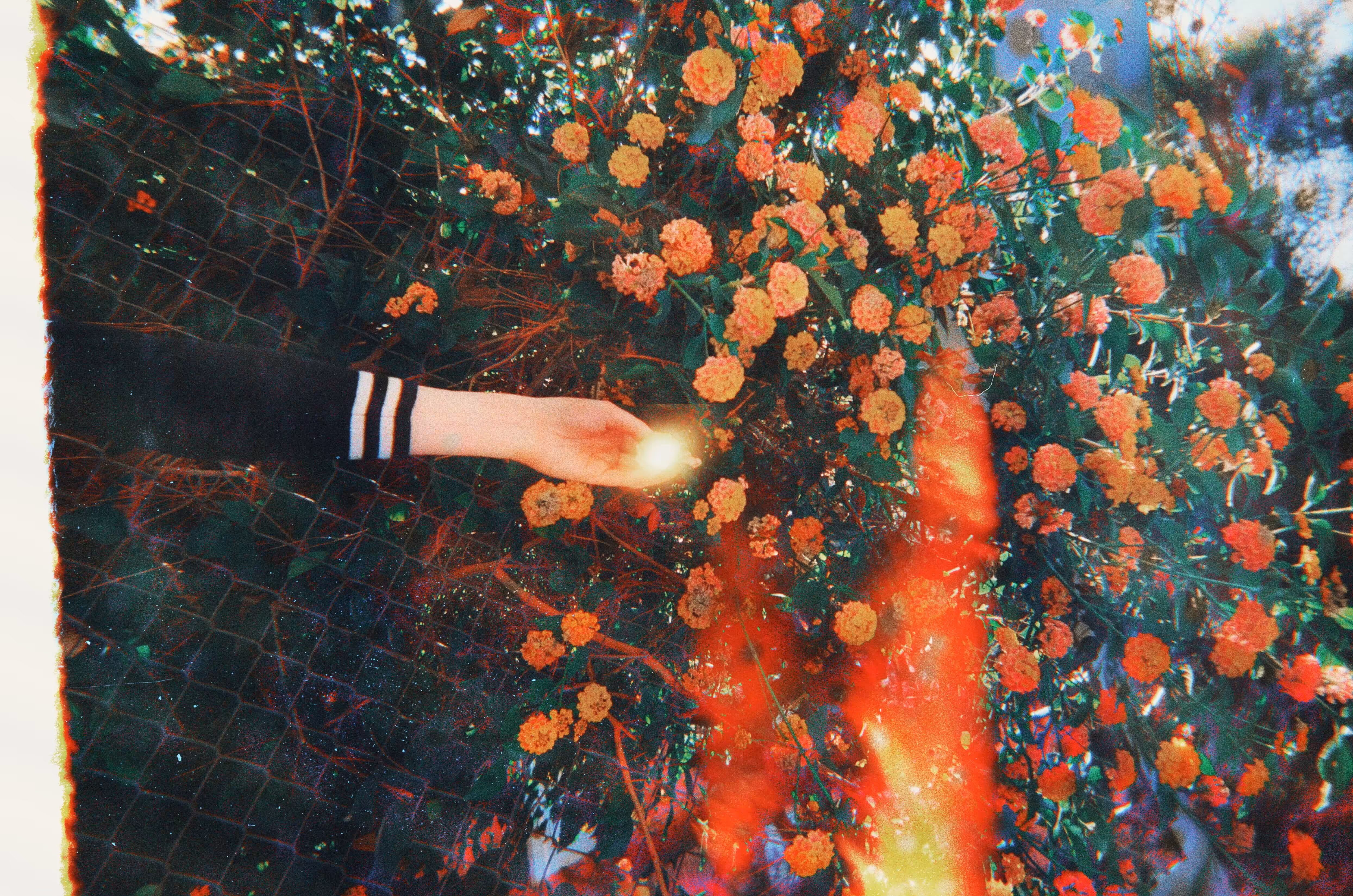 light giver