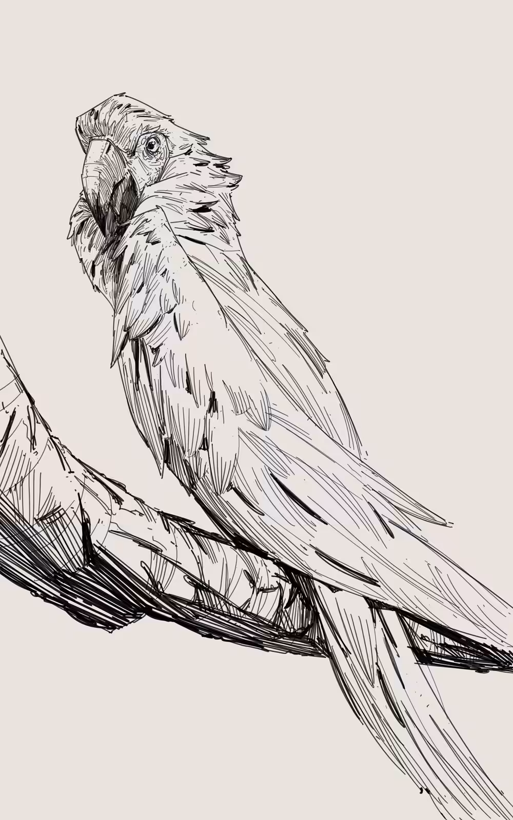 Tropical Bird #1