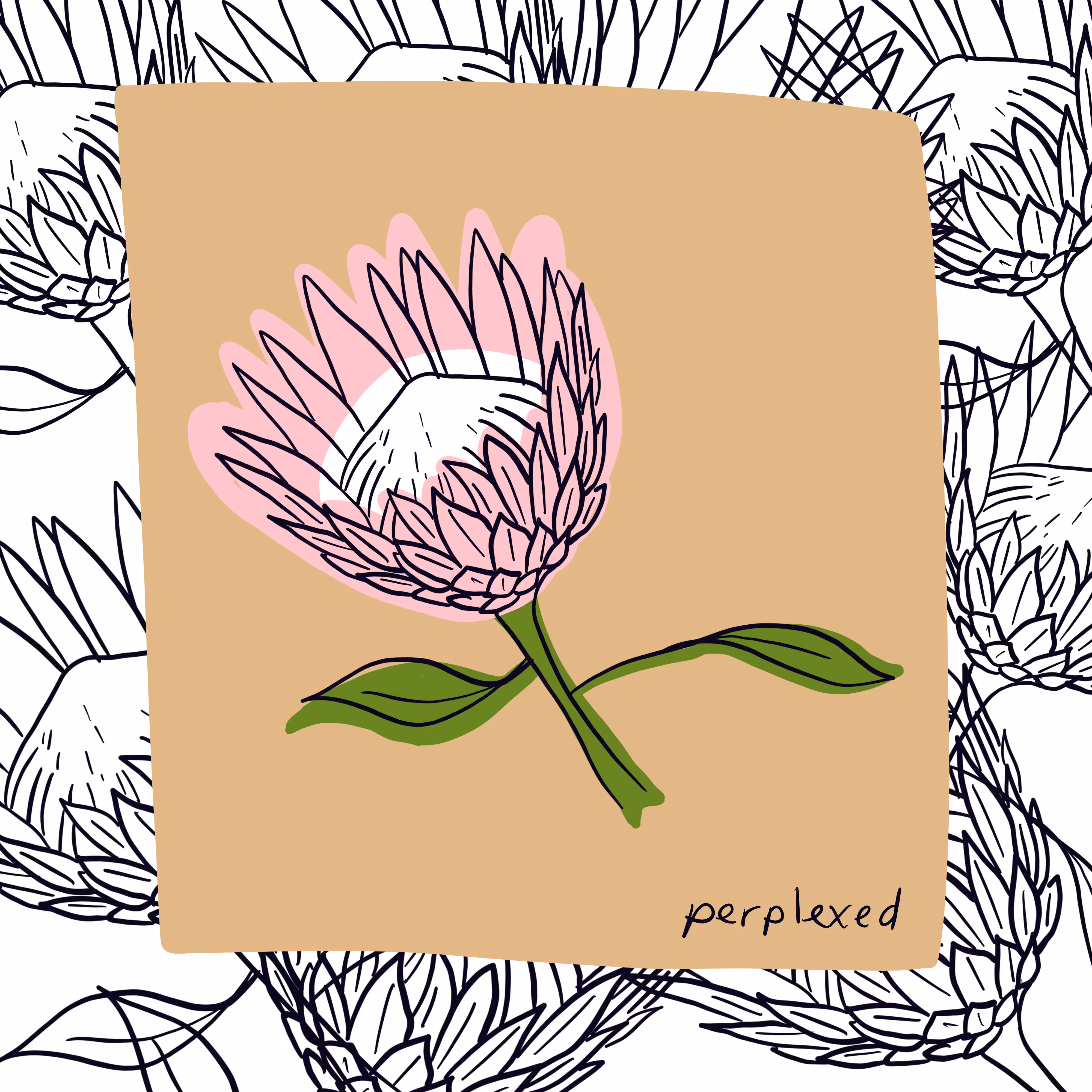 Floriography #3