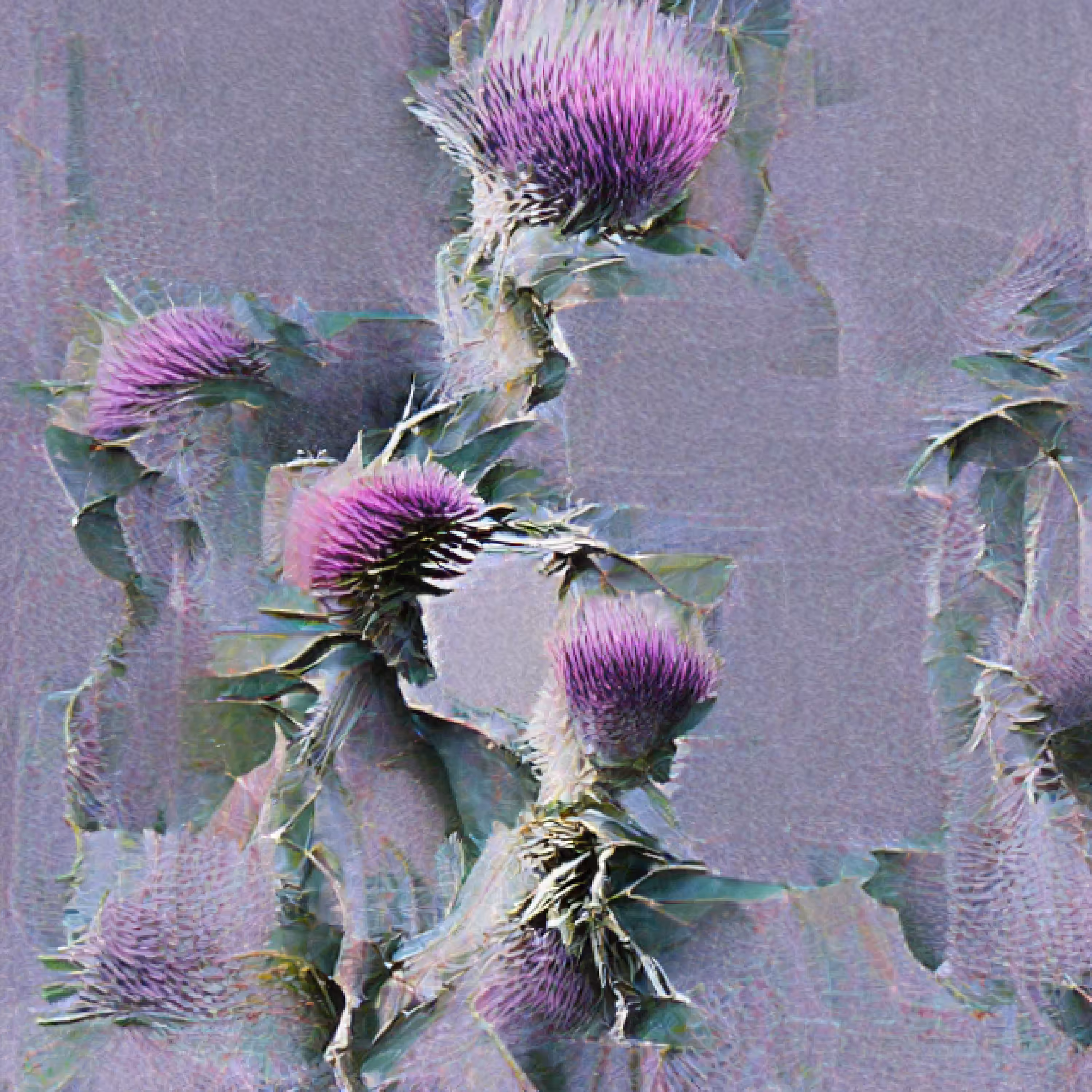 Thistle