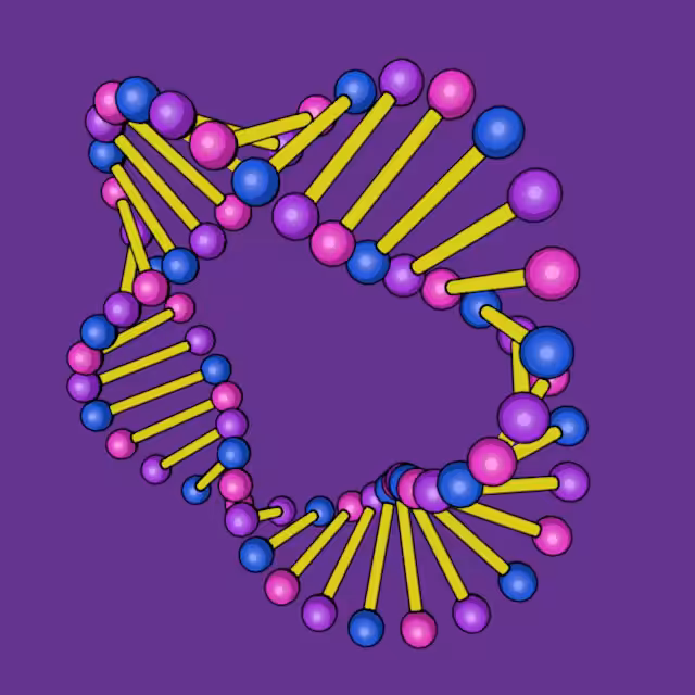 ꉺꉺꉺ DNA ꉺꉺꉺ