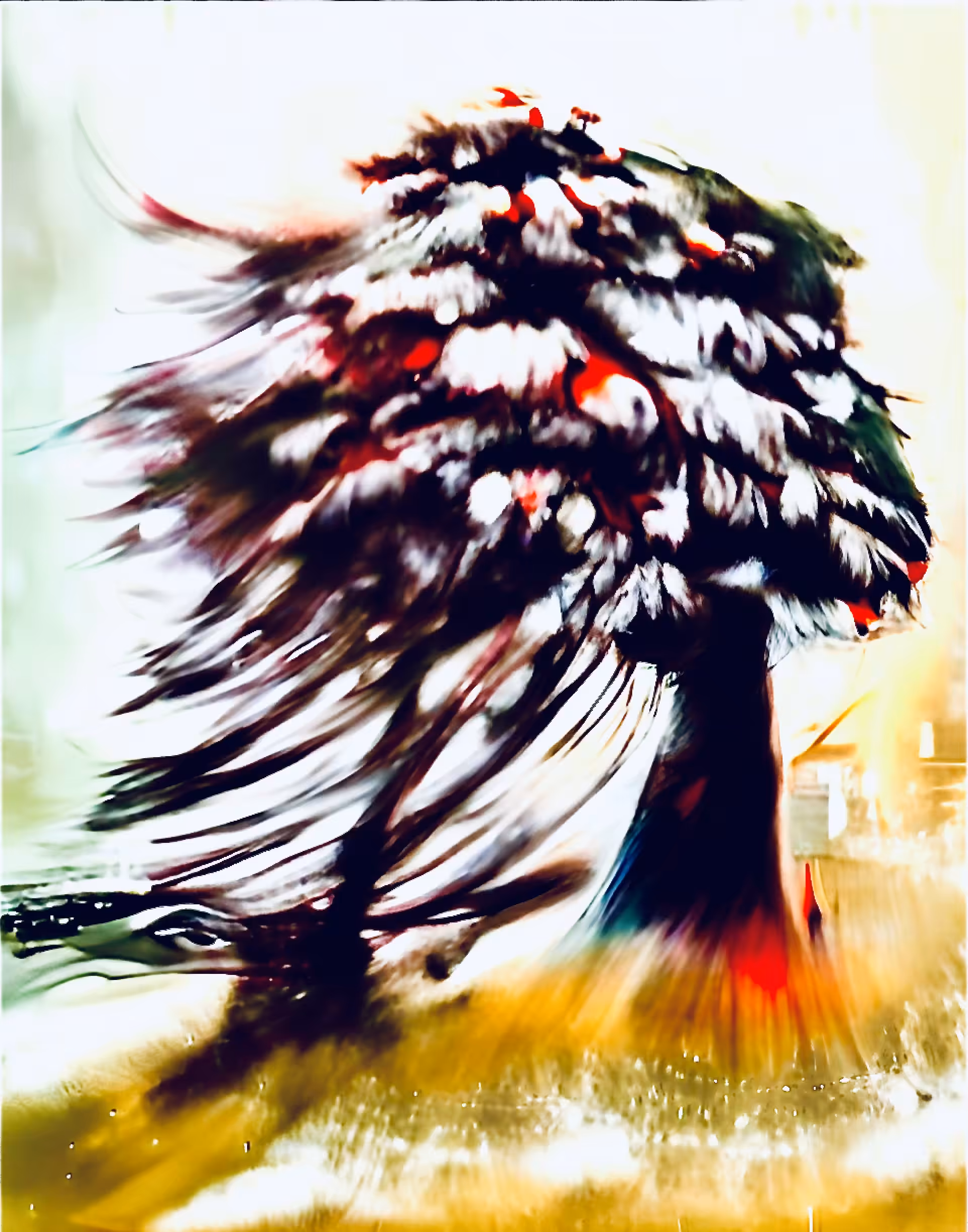 The snow Christmas tree