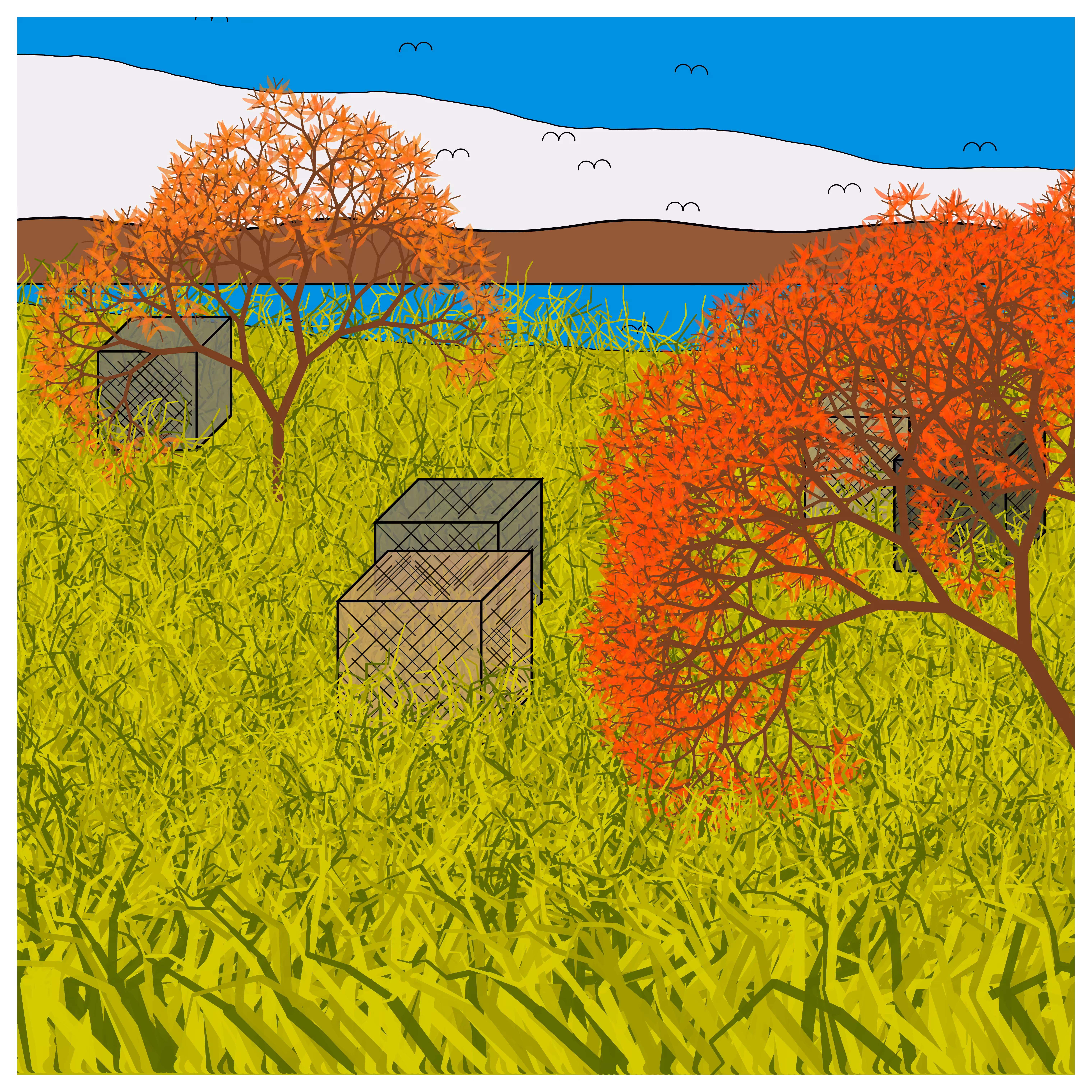 Cube Forest #80
