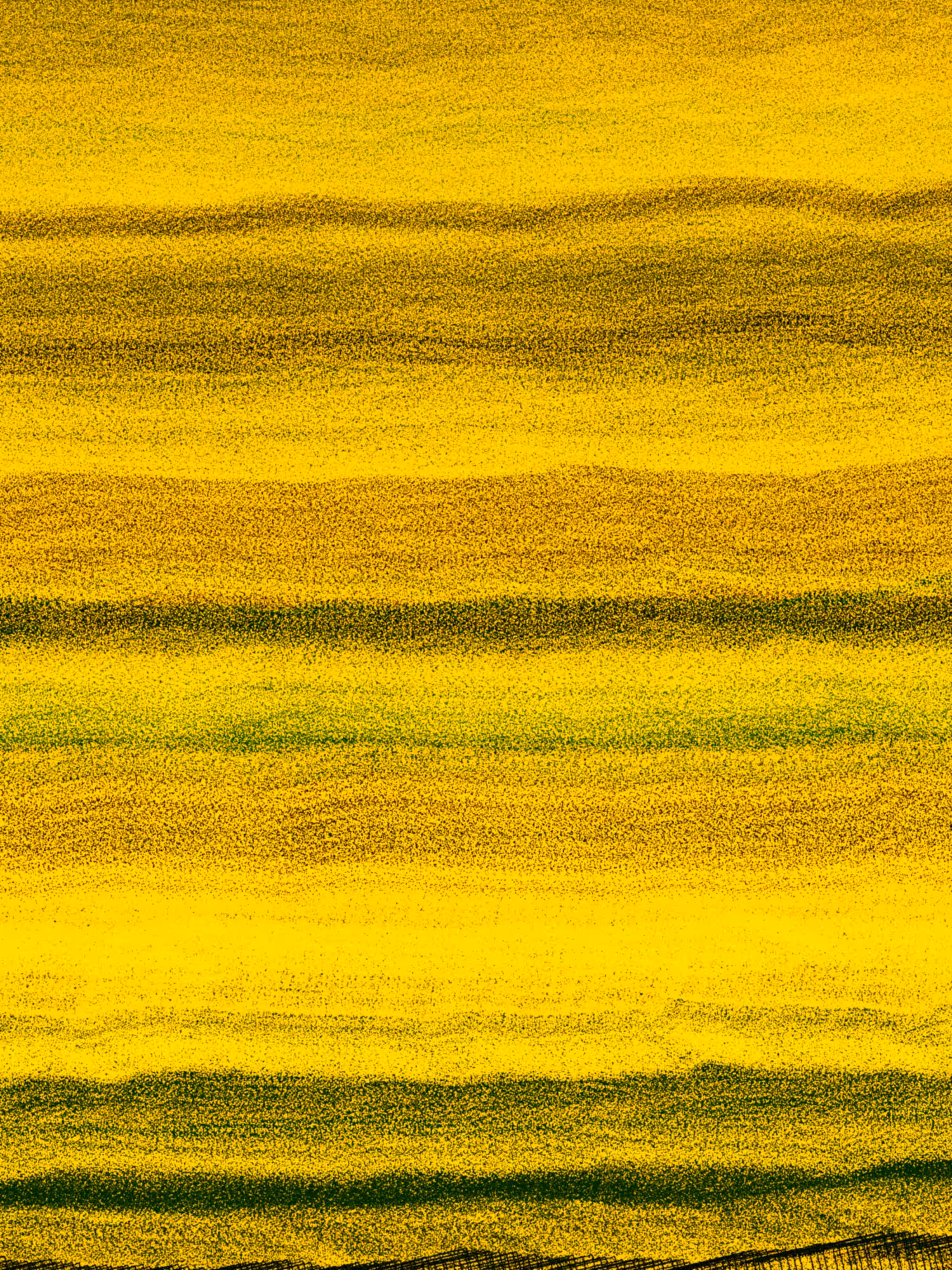 Floating Point  #11