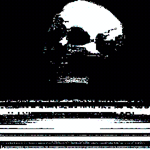 V0ID SKVLL