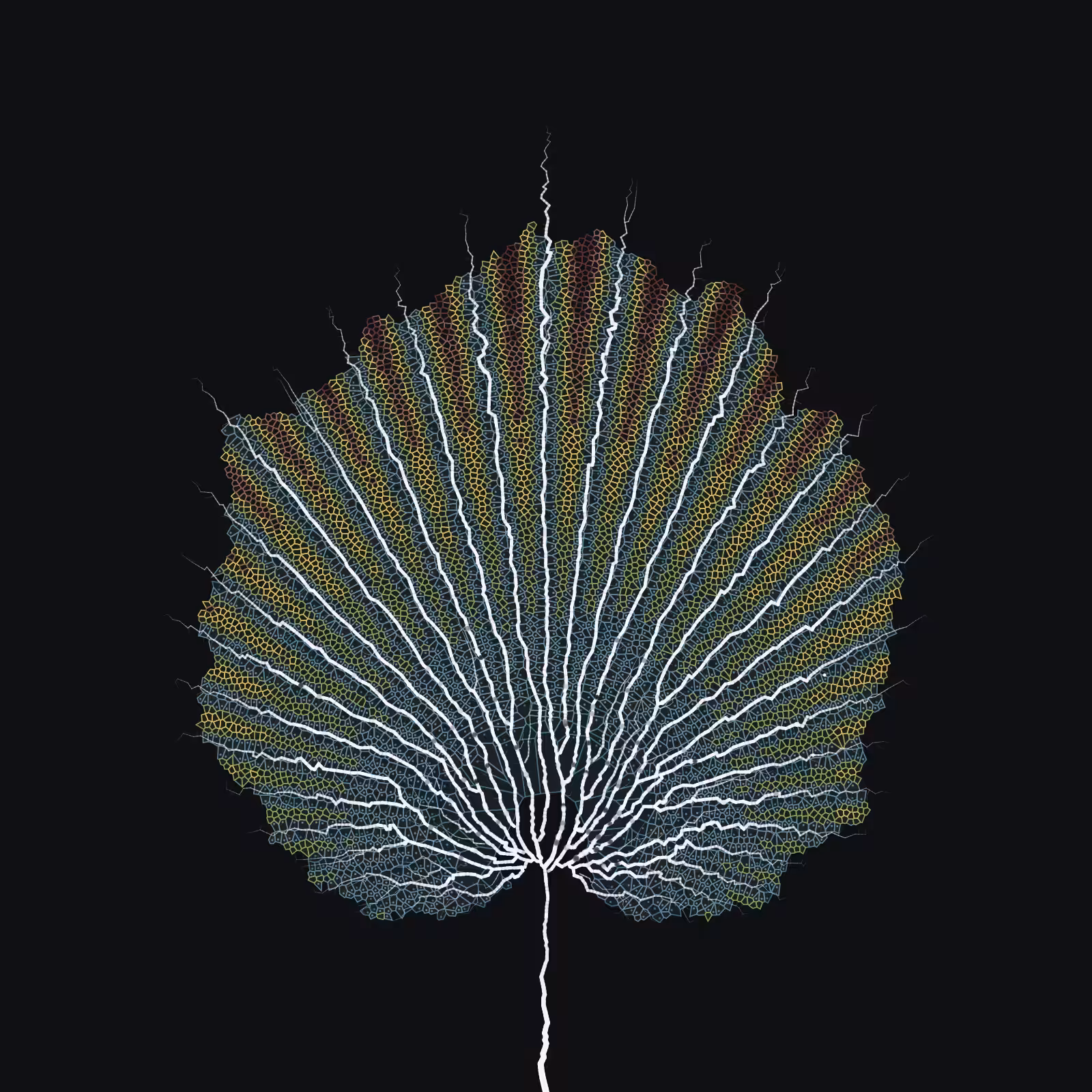 Leaf study #11
