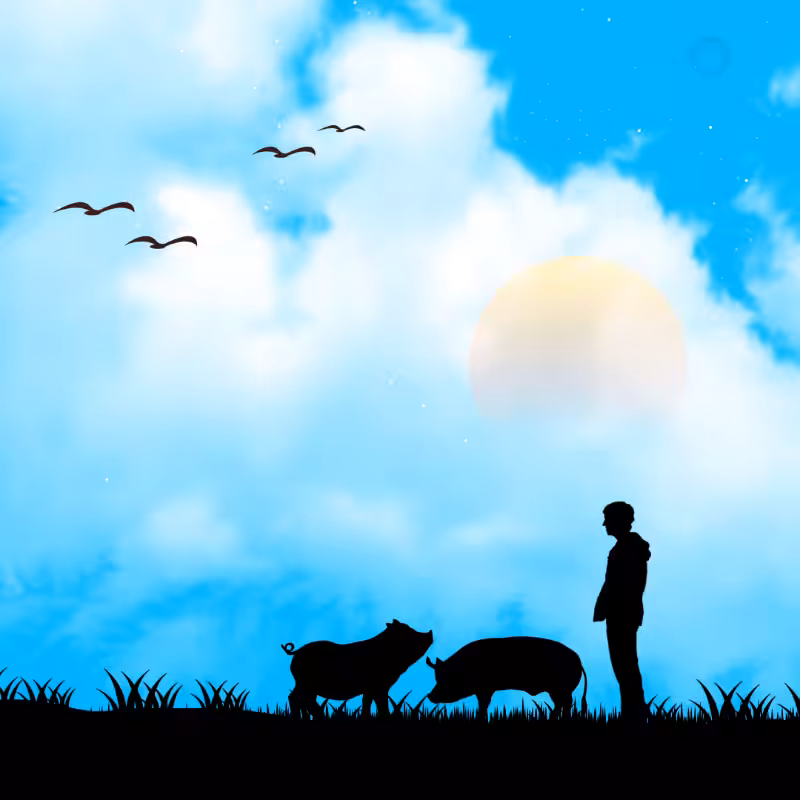 We Care...Pig #8