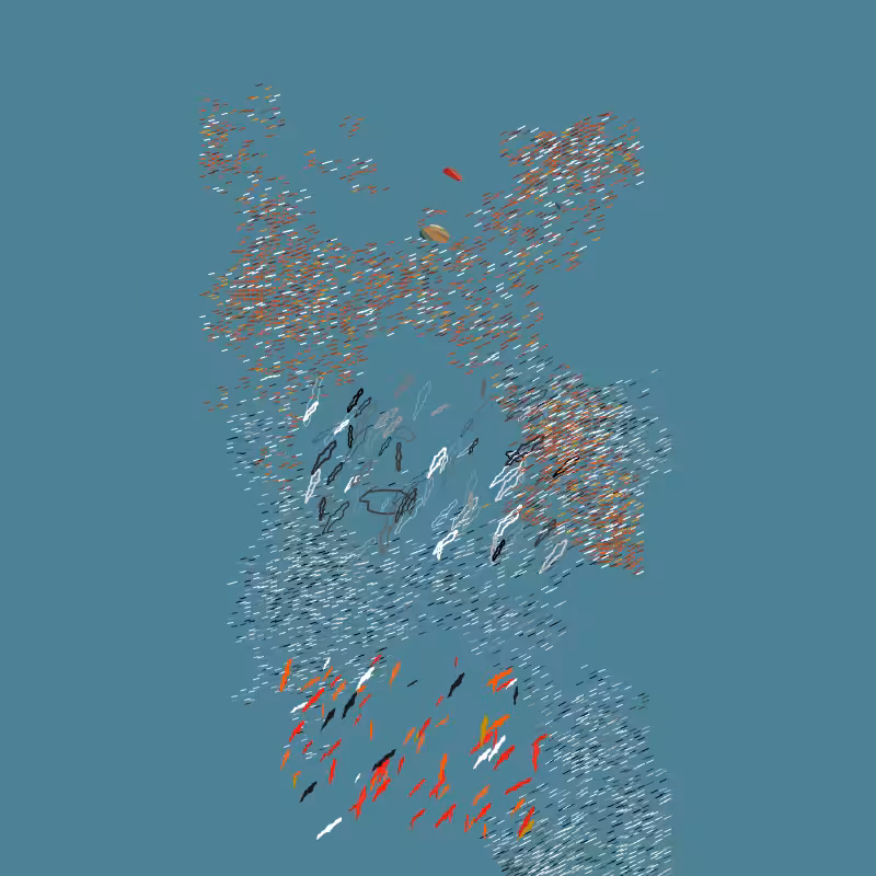 The Shadows of Shallows #1