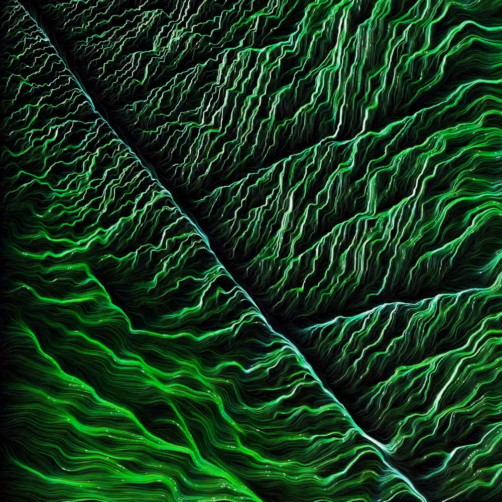 DIGITAL LEAF