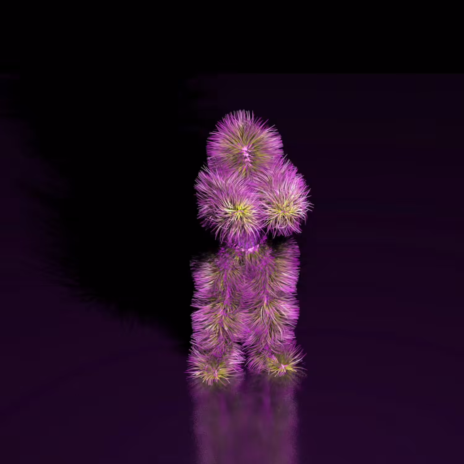FUR FUR
