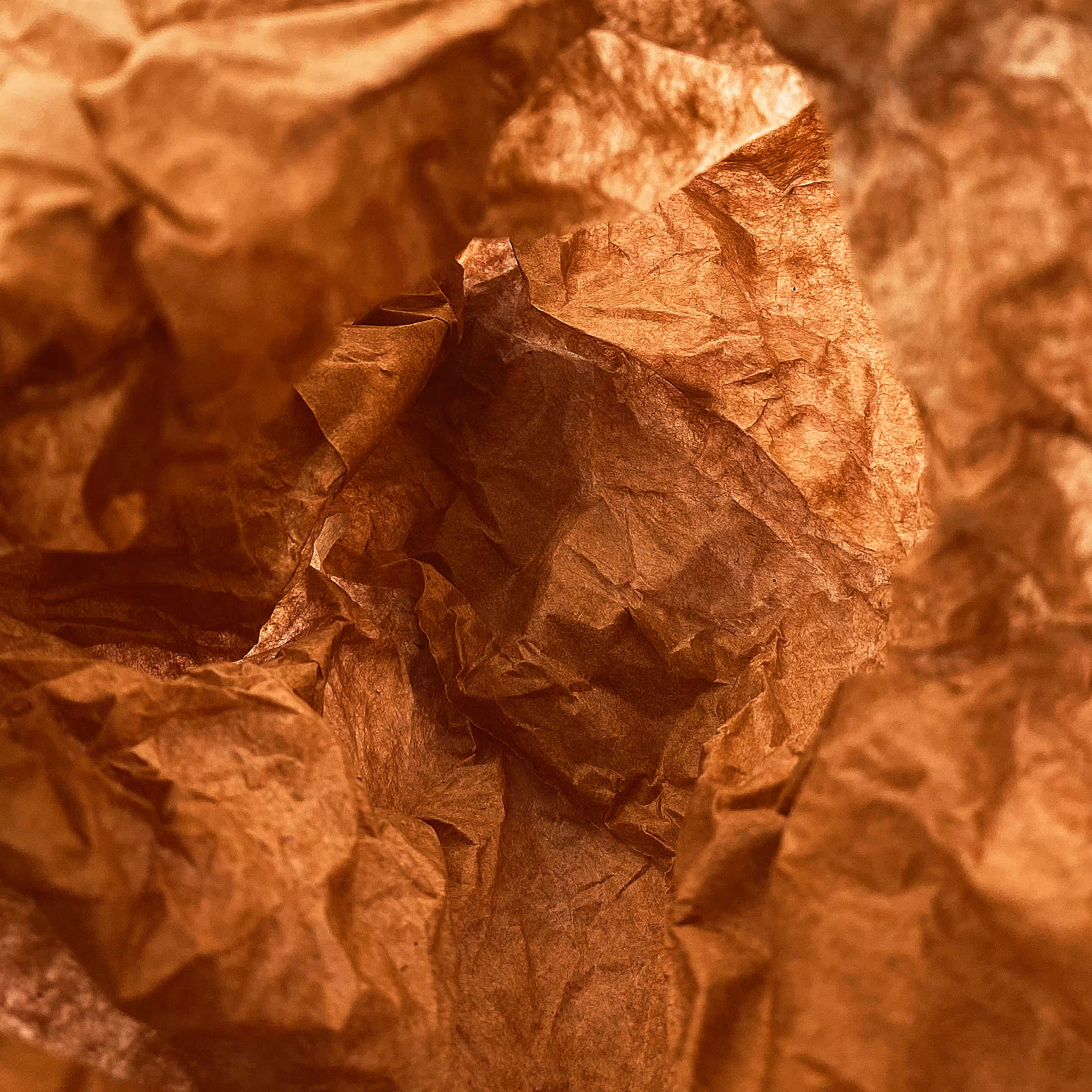 Crumpled Paper #4