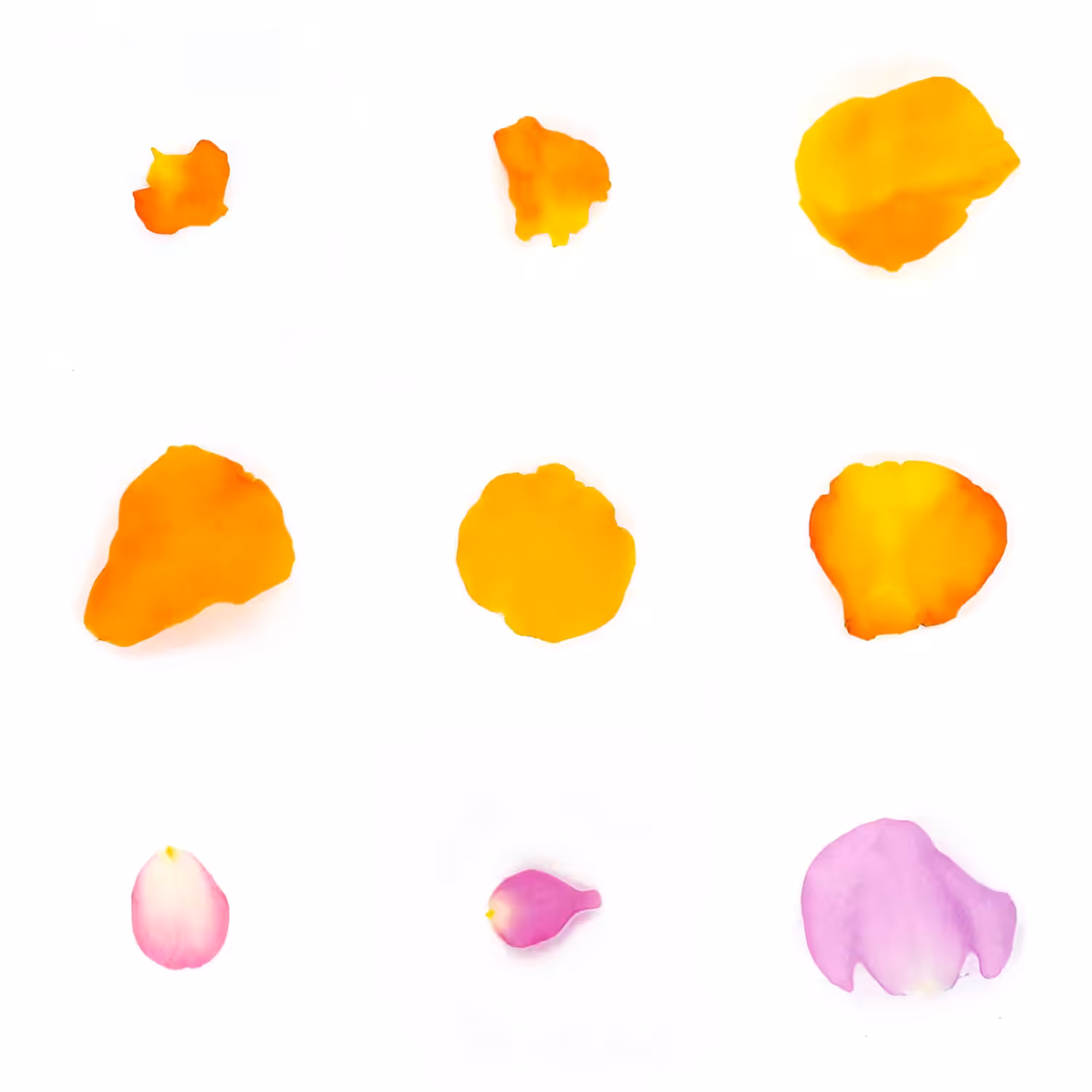 Infinite Petals 3x3#353