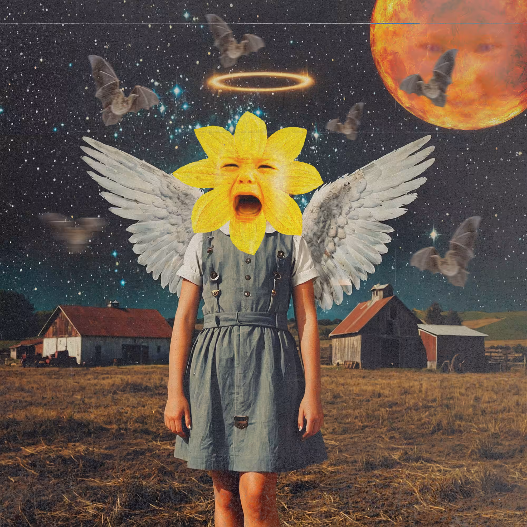 The Cry of the Sunflower Angel