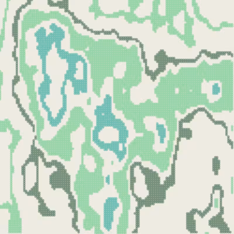 Petri 1500 #184