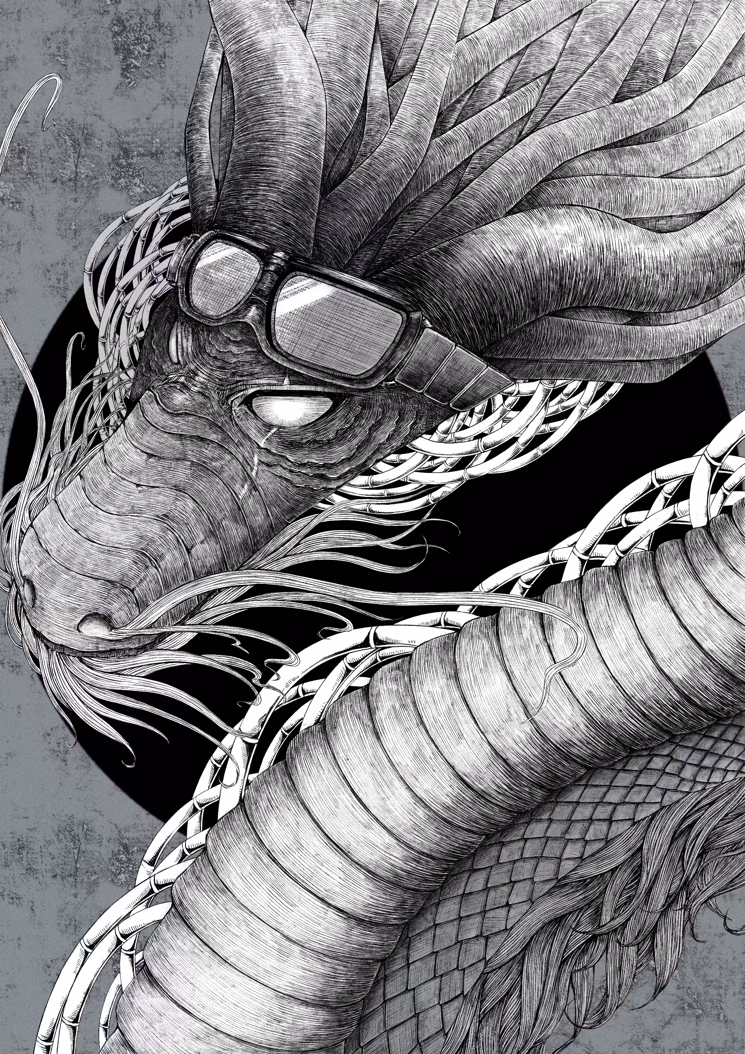 龍