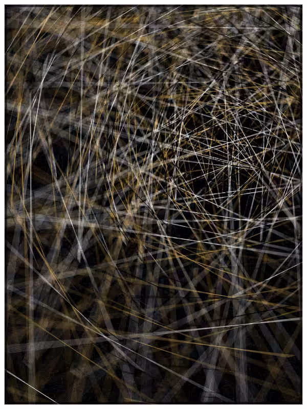 Haystack in a Needle #51