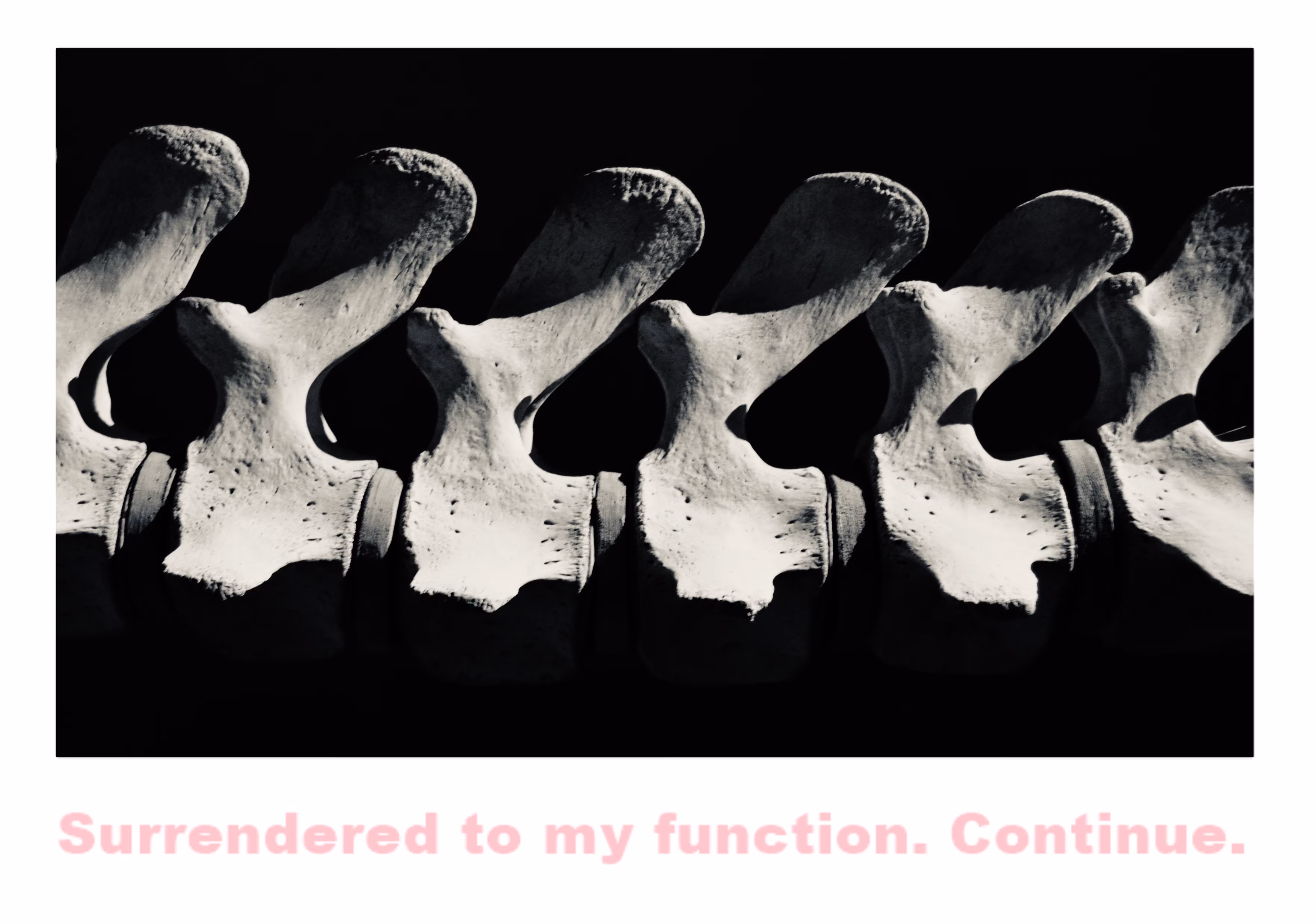 Surrended to my function. Continue.