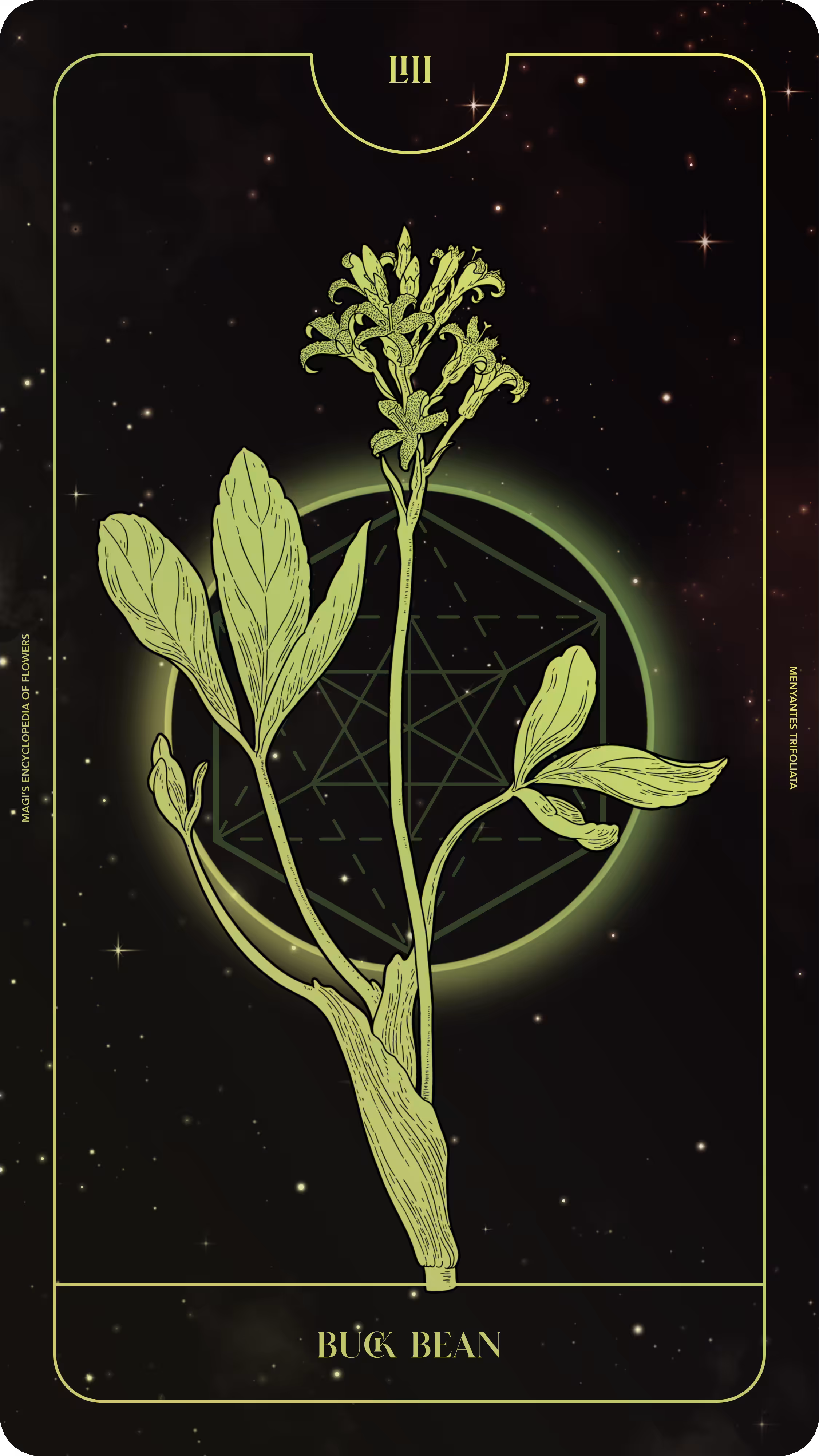 053 Buck Bean